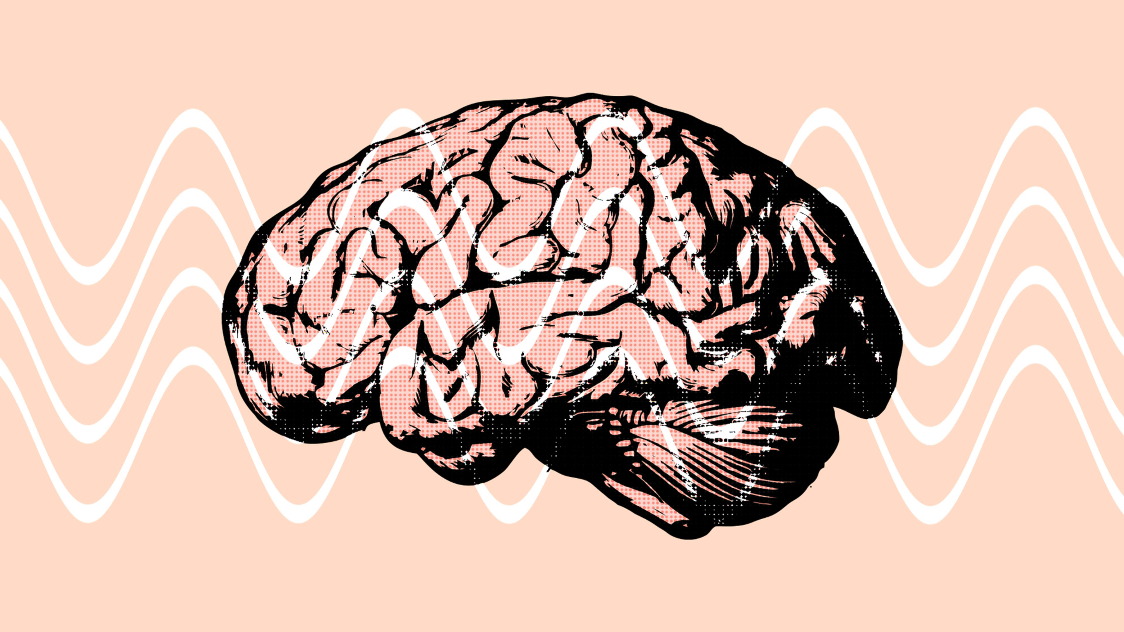 Newsmax Anchors: The Power Of Persuasion - 6rn0y12