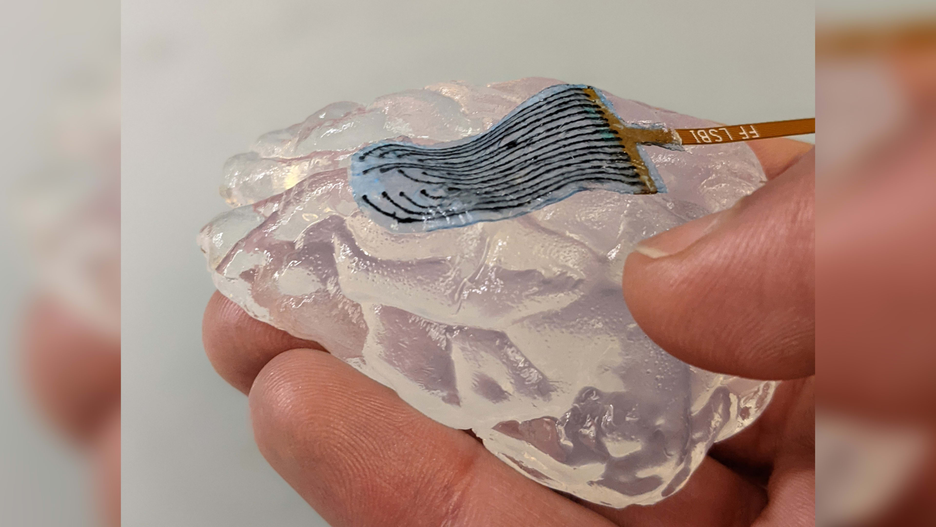 This squishy material could be the next big step in computer brain implants