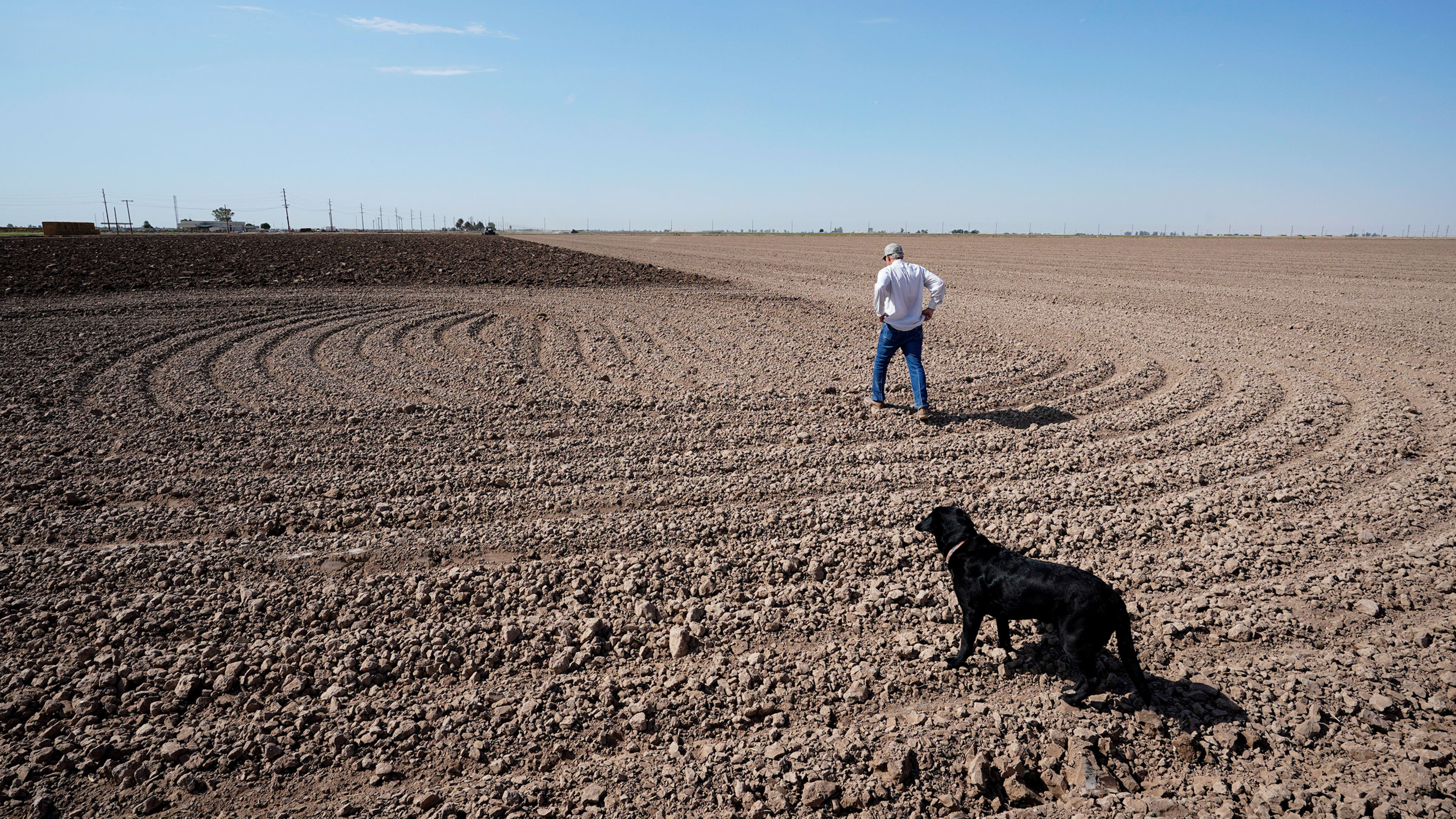 The government wants to pay Western farmers to save water by not farming