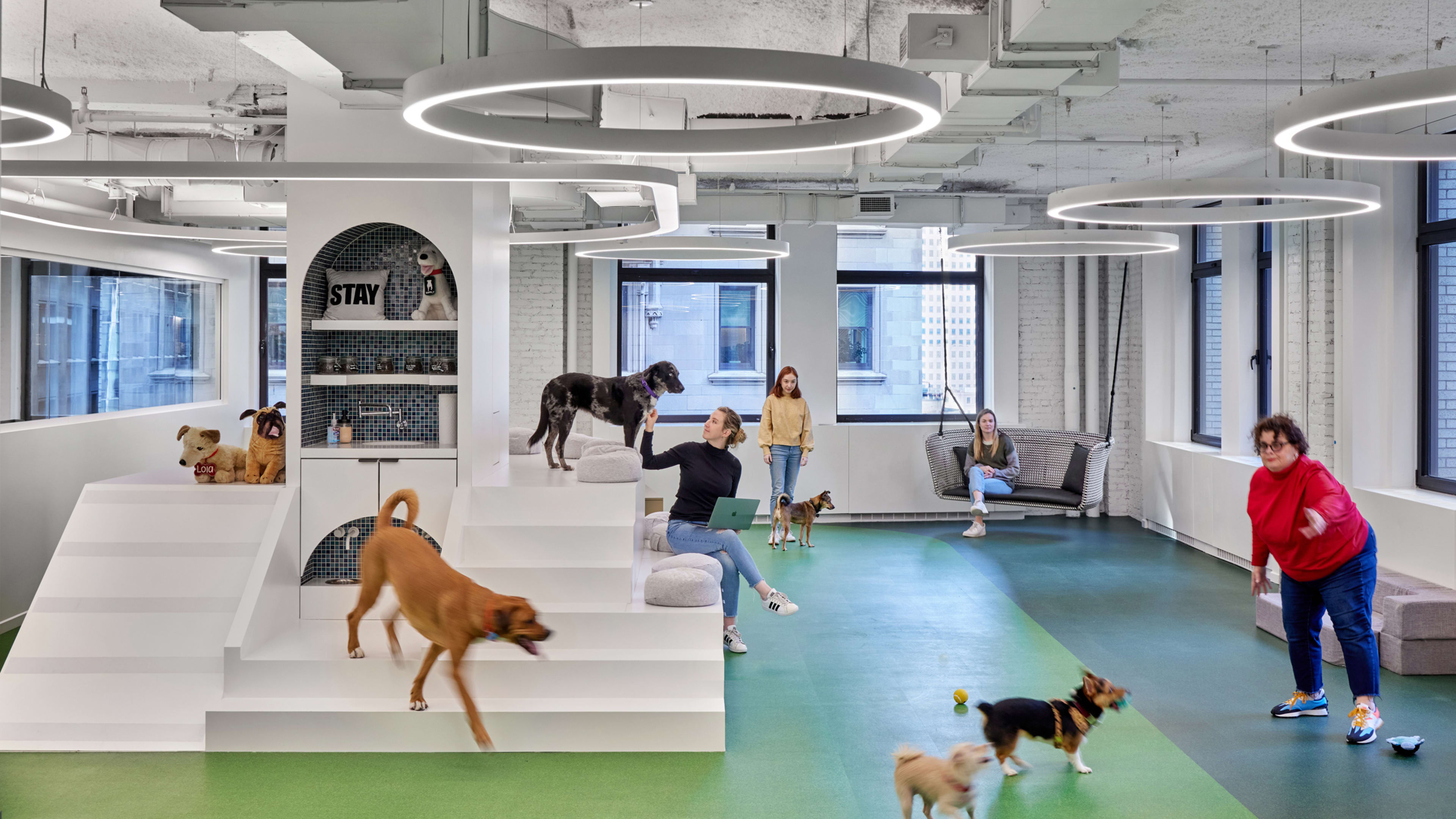 Bark built a dog park *inside* its office