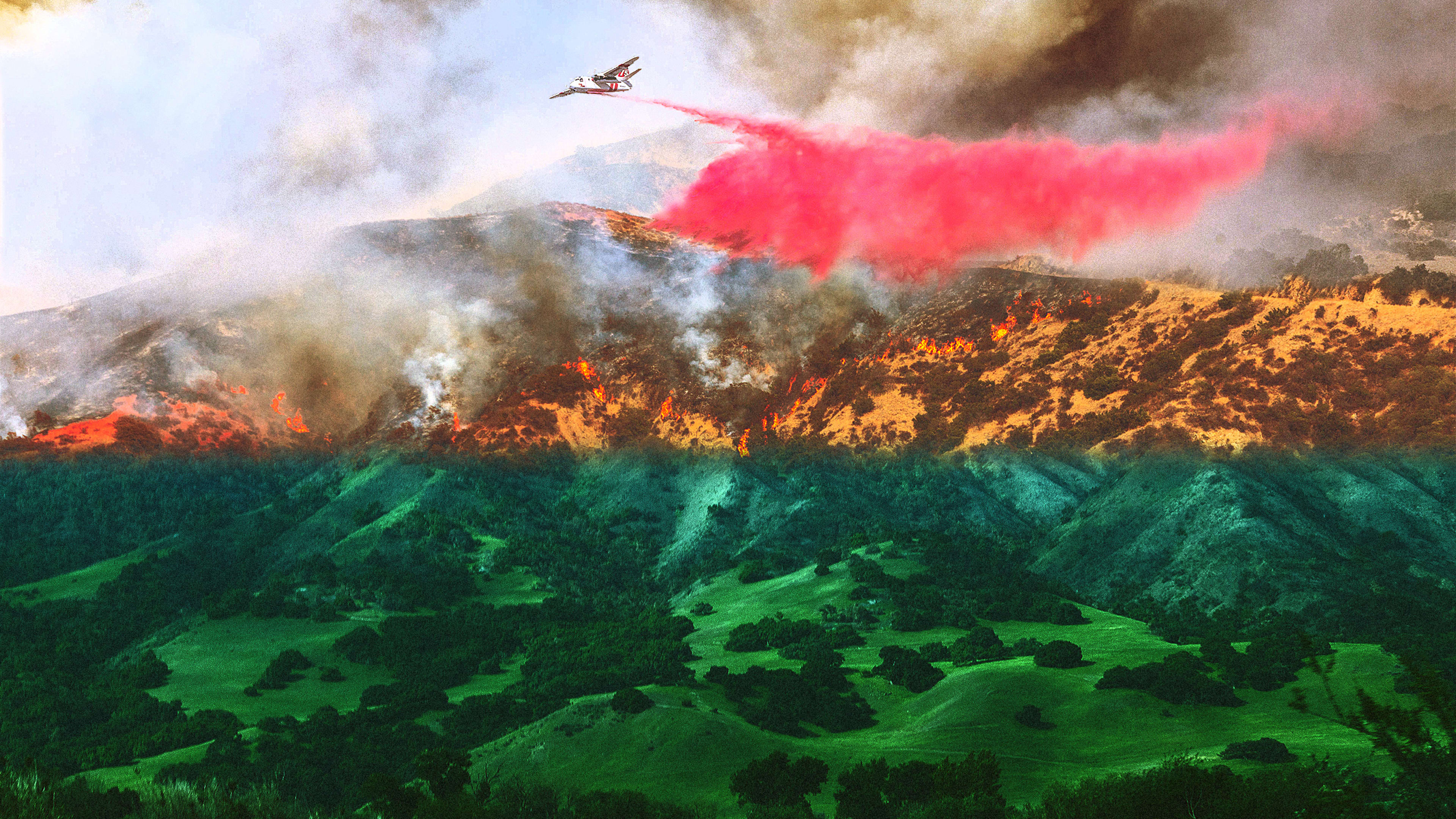 California has had an extraordinarily wet winter. What will that mean for wildfires?