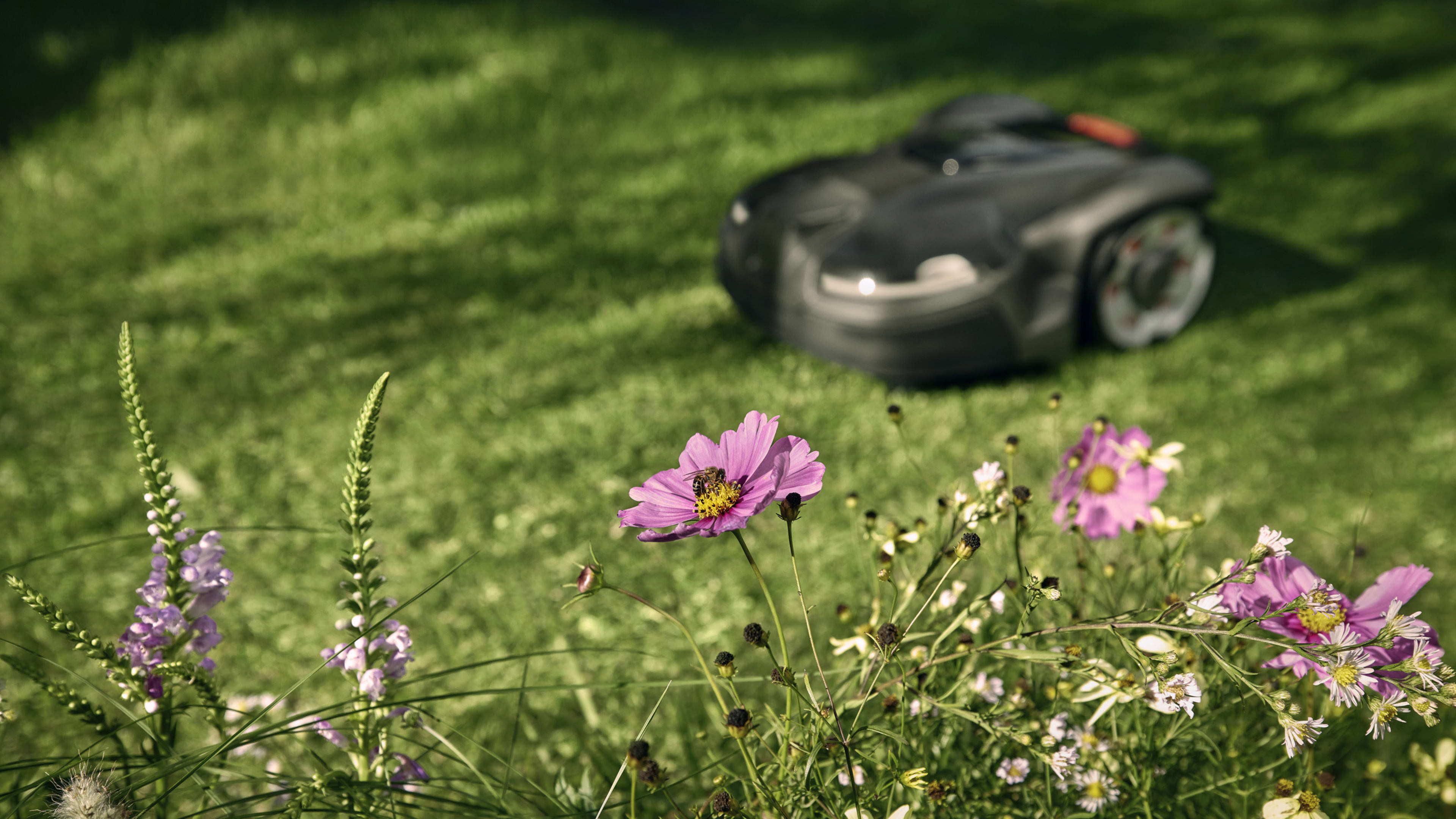 This robot lawnmower wants to help return your yard to nature