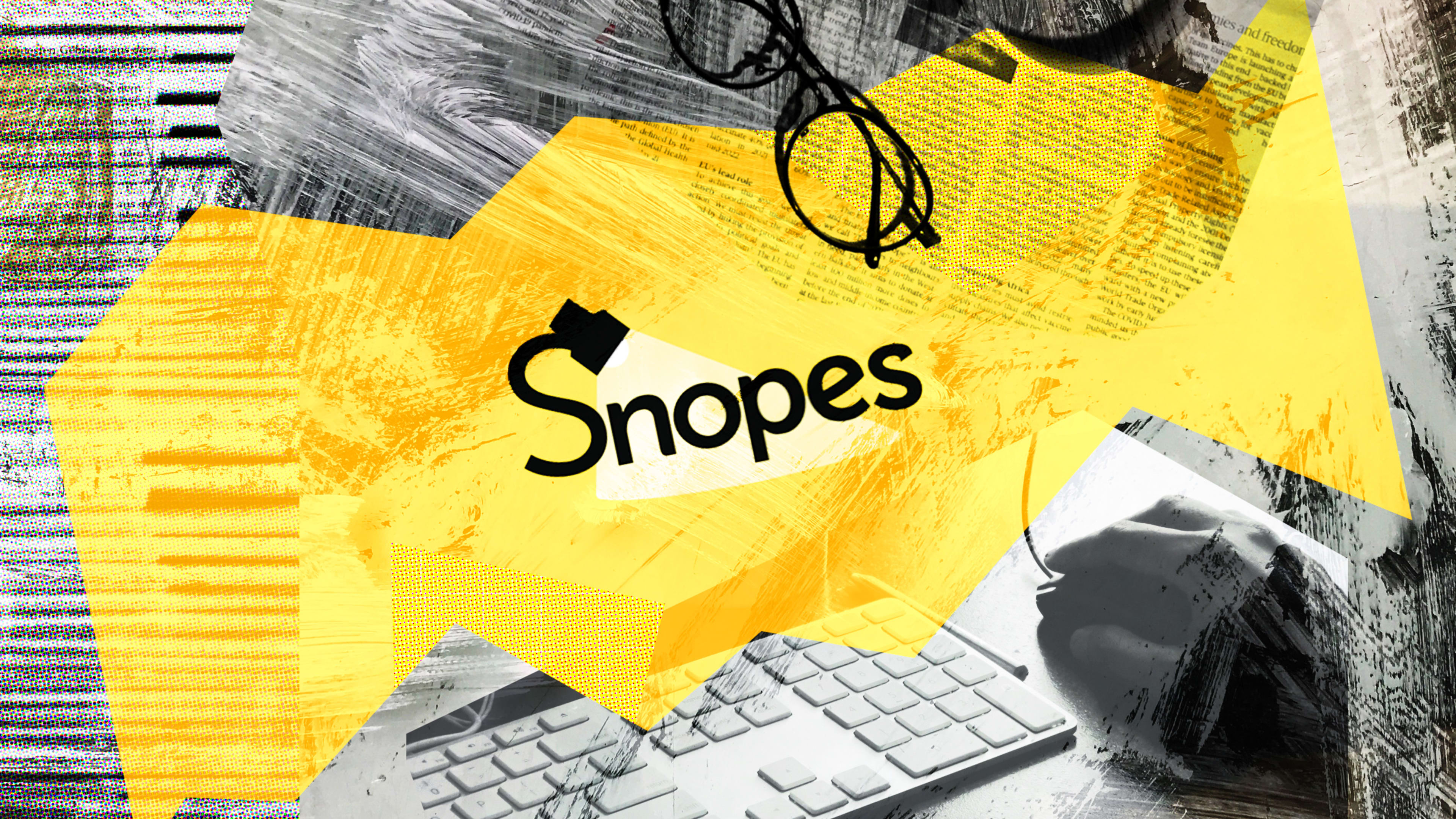 Inside Snopes: the rise, fall, and rebirth of an internet icon