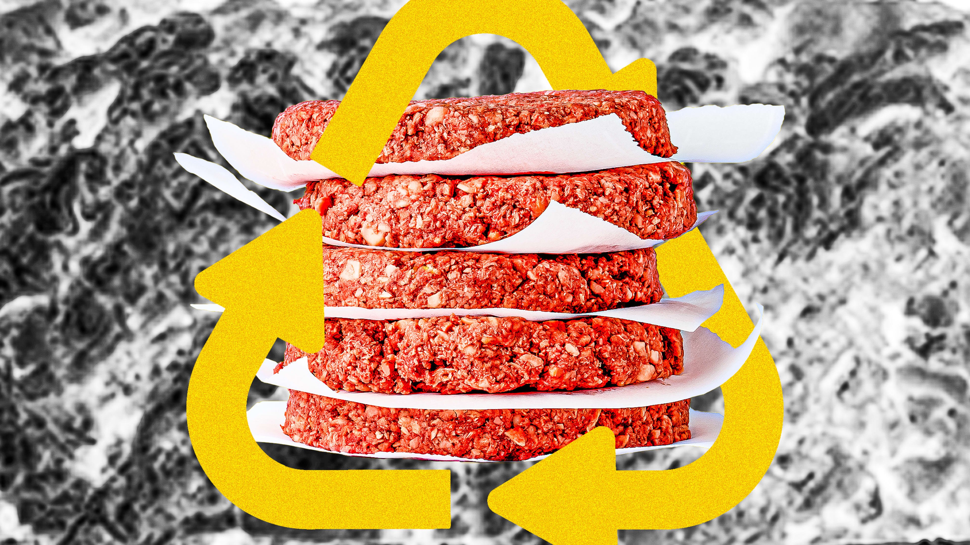 A fad or the future? With plant-based meat, there’s plenty to be bullish about