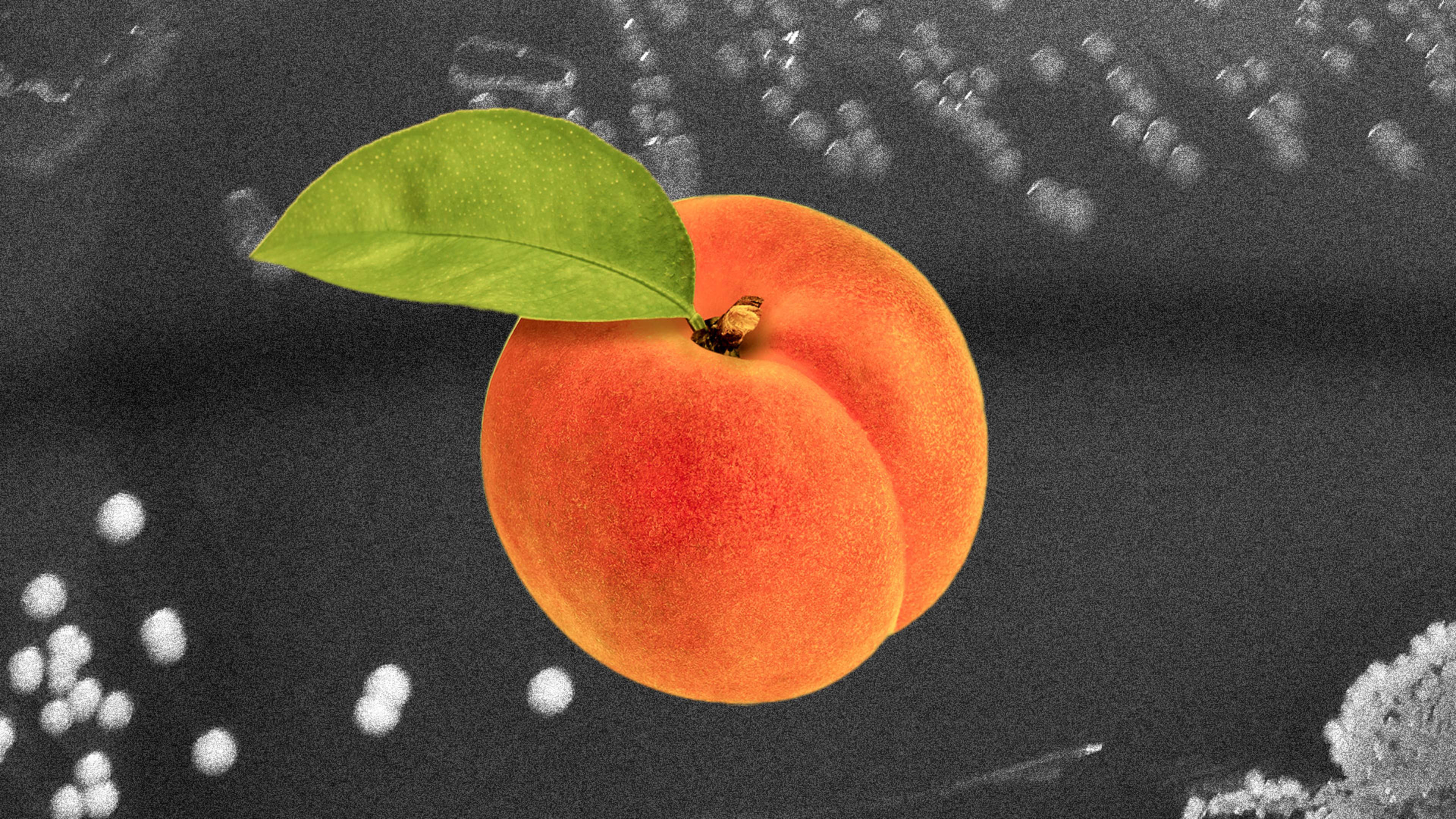 Listeria fruit outbreak: Contaminated peaches, plums, and nectarines leave one dead, more hospitalized, says CDC