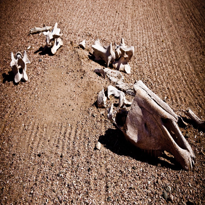 Is Apathy Killing Innovation? - Fast Company
