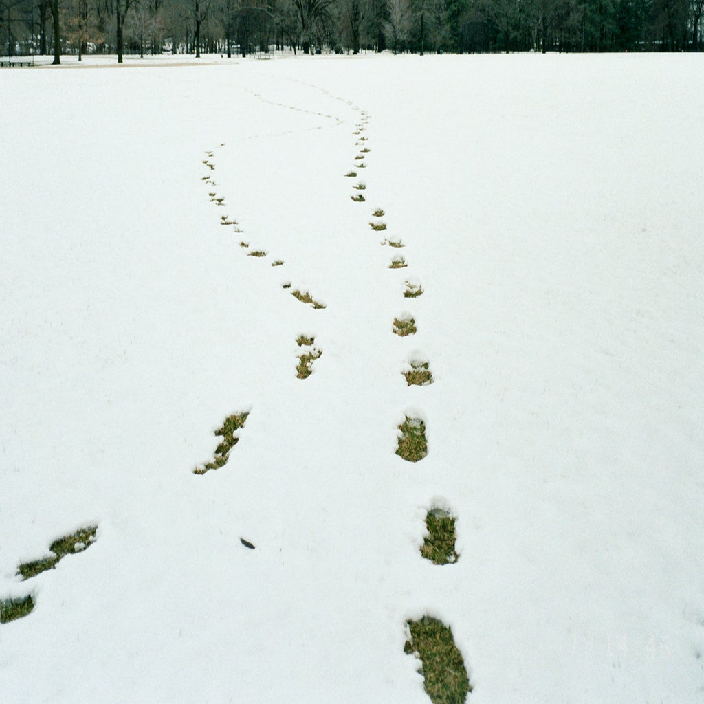 Businesses Are Tracking Your Habits-But How Much Information Is Too ...