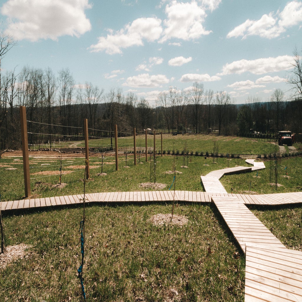 Why an ex-Googler just opened a chestnut farm in rural Pennsylvania ...
