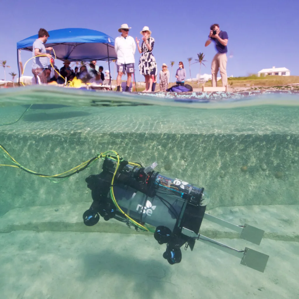 https://images.fastcompany.com/image/upload/f_auto,q_auto,c_fit,w_1024,h_1024/wp-cms/uploads/2017/07/8-this-robot-is-designed-to-suck-up-invasive-fish.webp