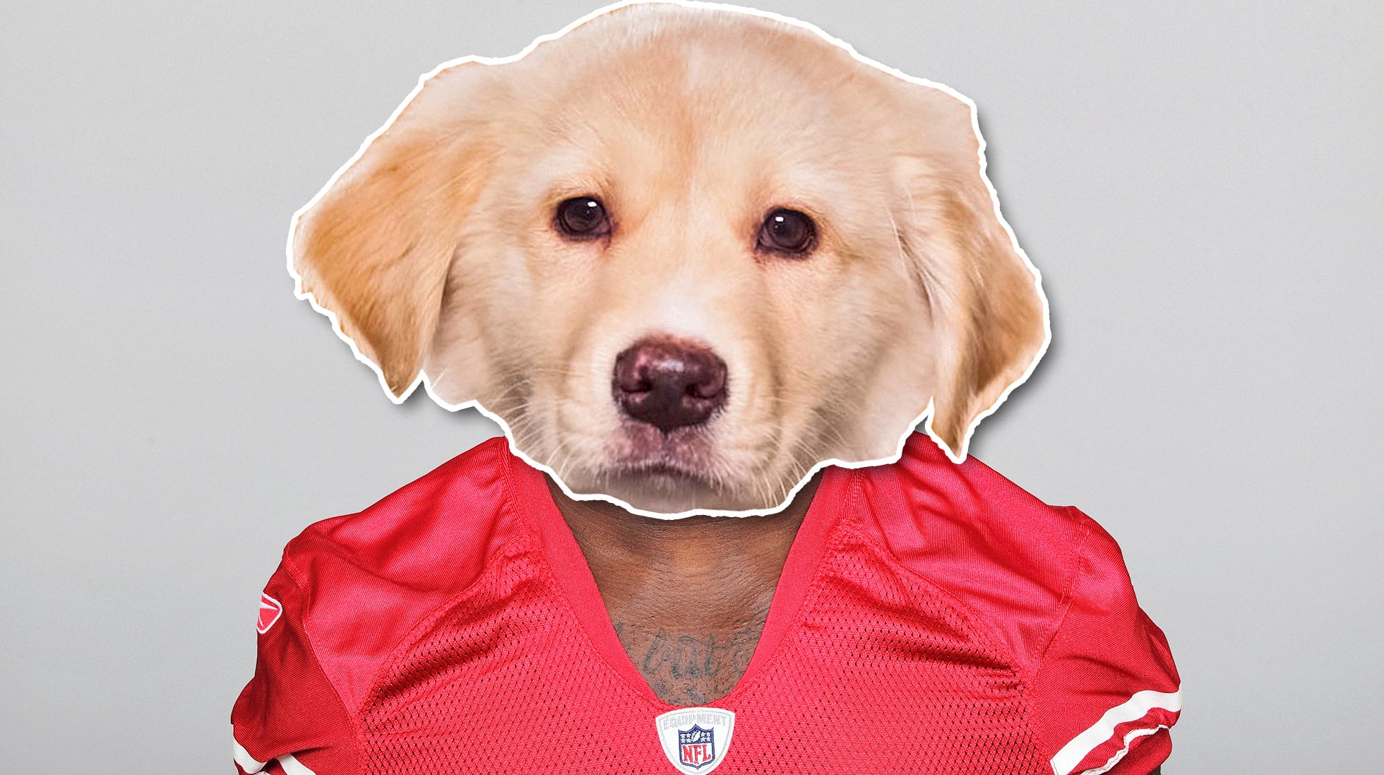 A Side-By-Side Comparison Of Your Super Bowl And Puppy Bowl Starting ...