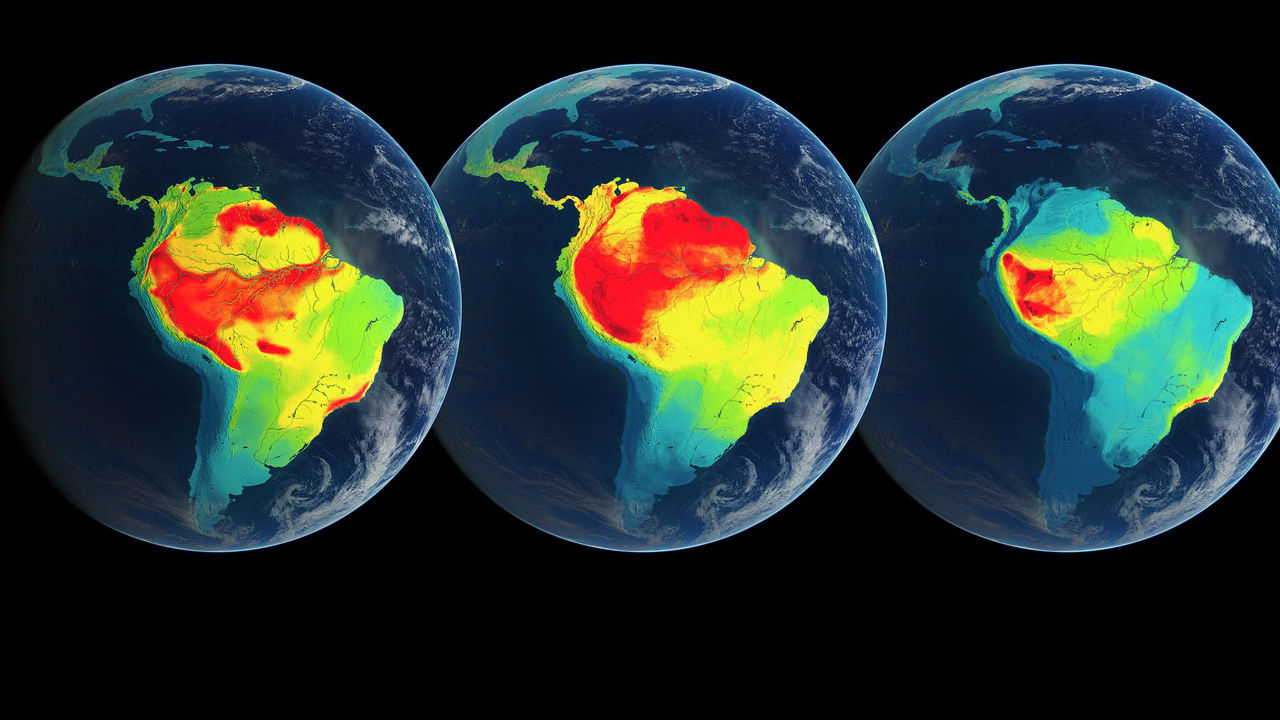 Mapping All Of The World's Animals, So We Know Where To Save Them ...
