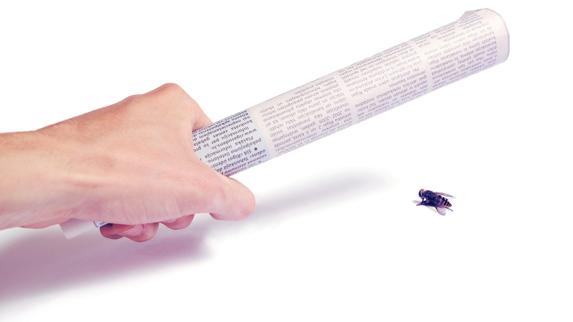 Competition Bug Think Like A Bug: Tips On Squashing The Competition From Charles Darwin ...