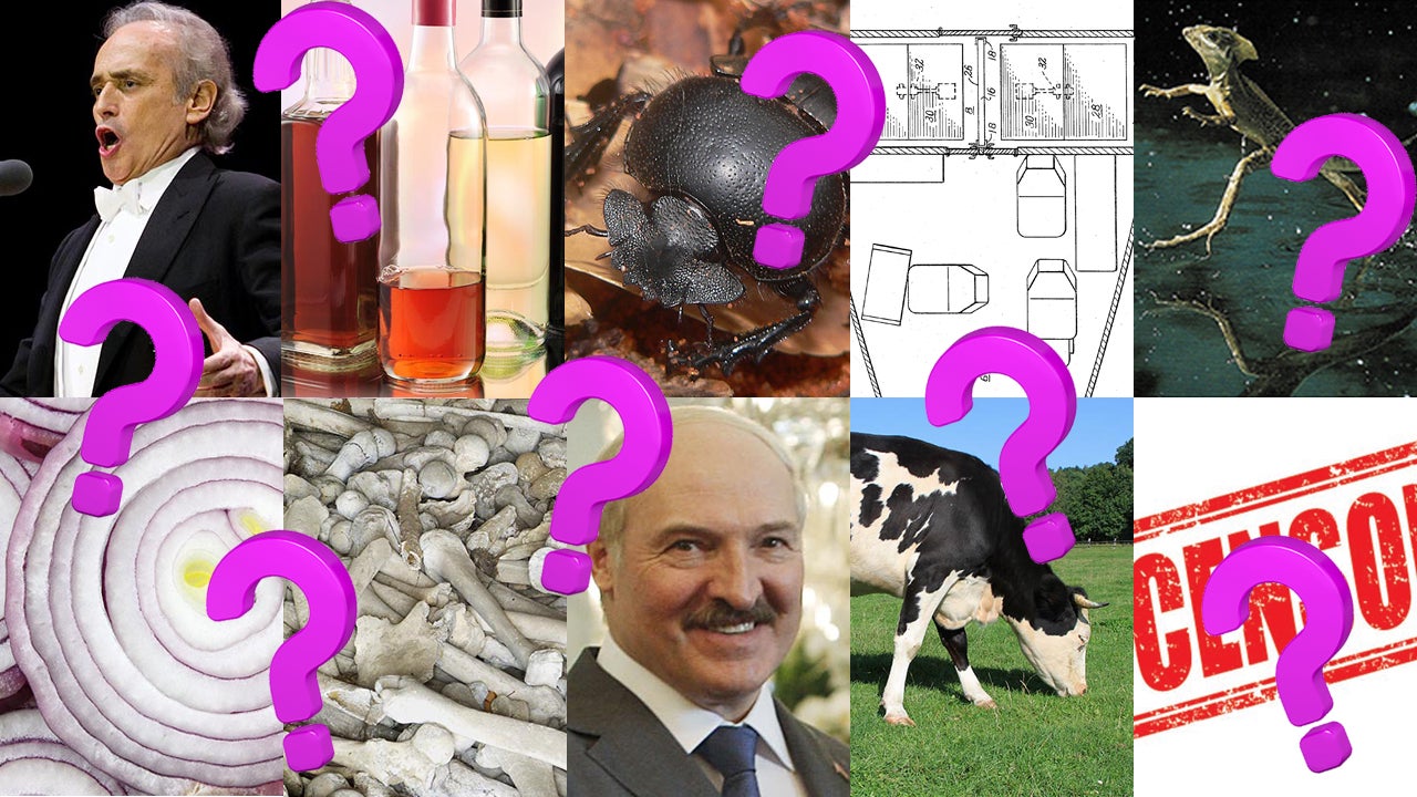 Most Ridiculously Interesting Questions 10 Of The Weirdest Questions Scientists Asked (And Answered) This Year ...