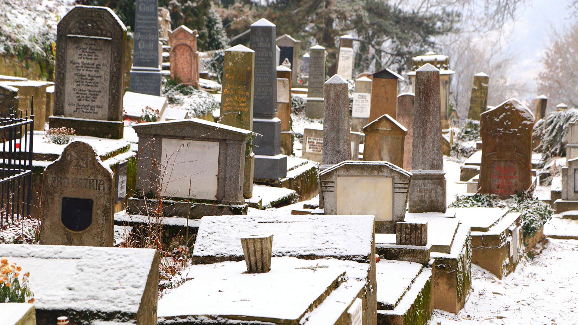 A Creepy New Startup Wants To Create Living Avatars For Dead People