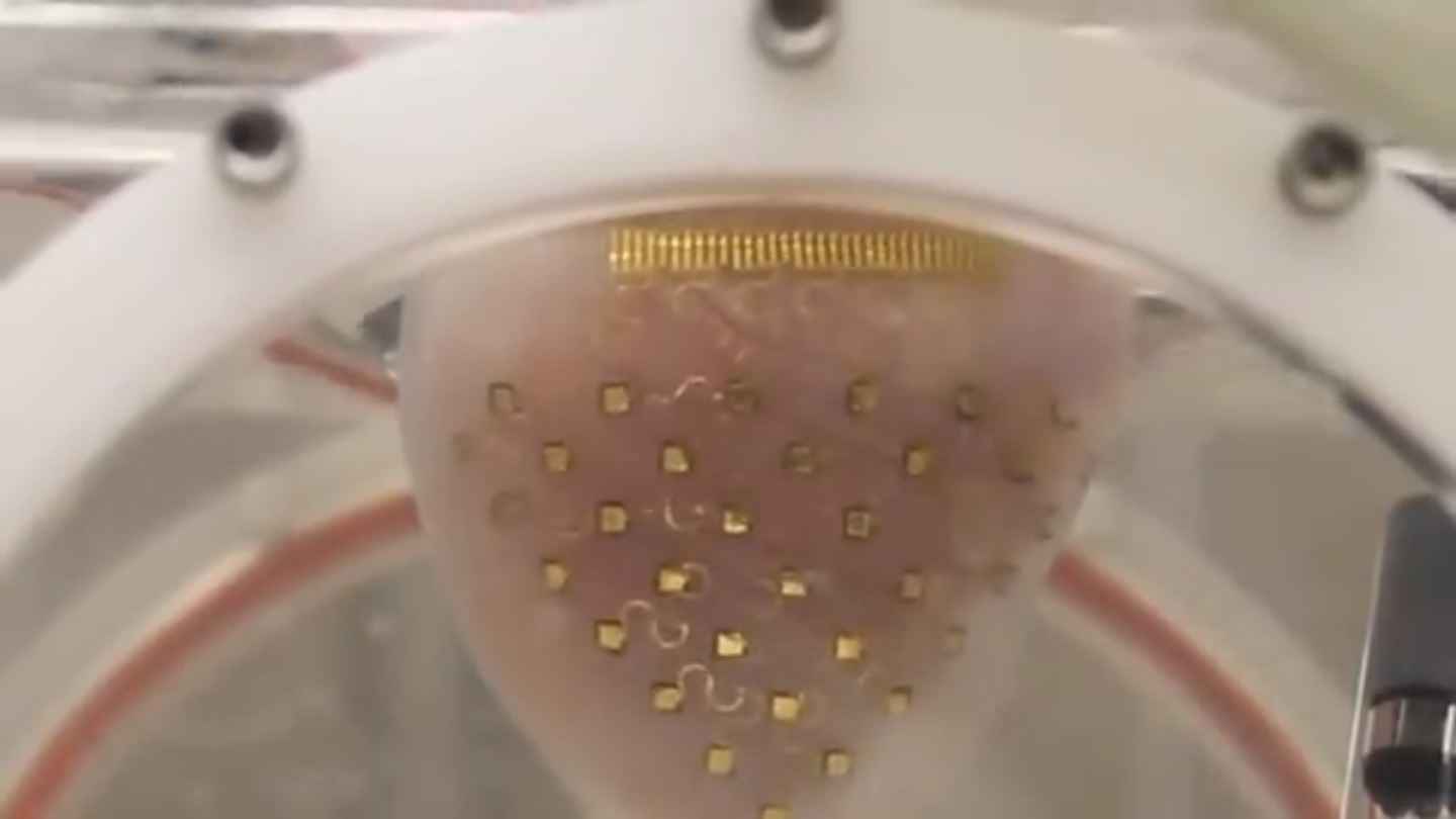 This 3-D-Printed Membrane Could Keep Hearts Beating Indefinitely - Fast ...