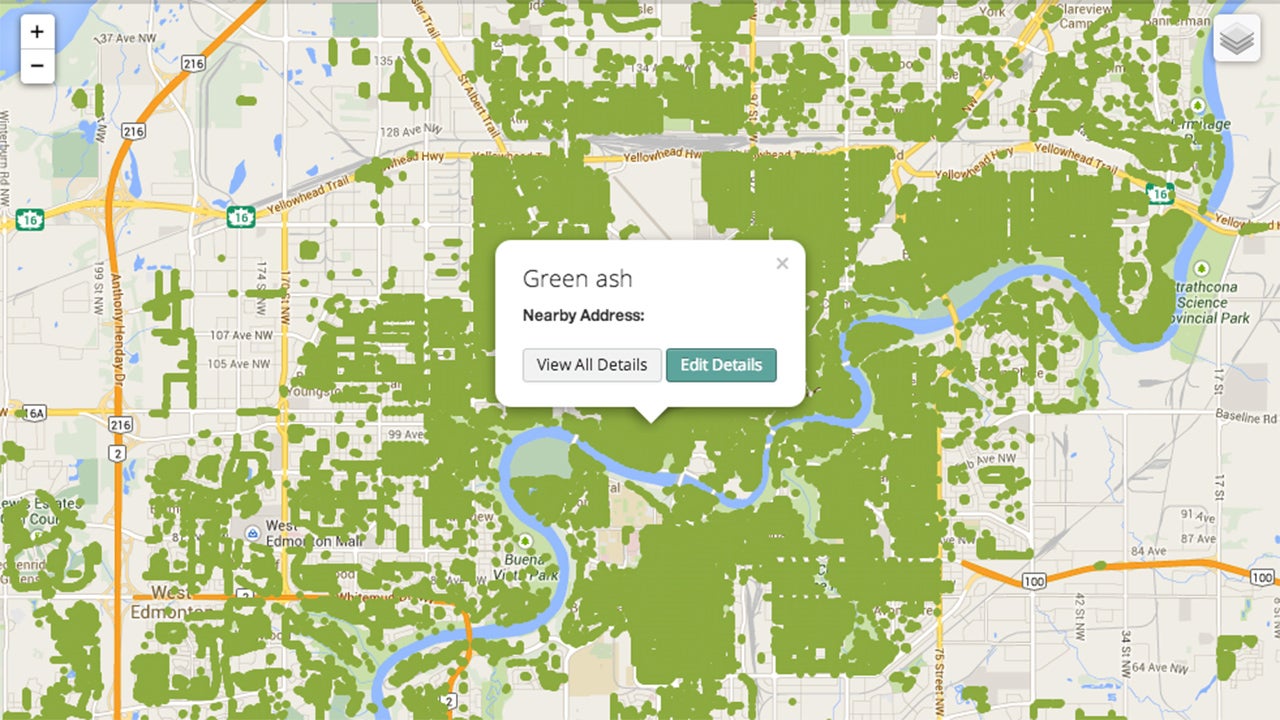 Tree Point Map Mapping Trees To Figure Out Just How Good For Us They Are - Fast Company