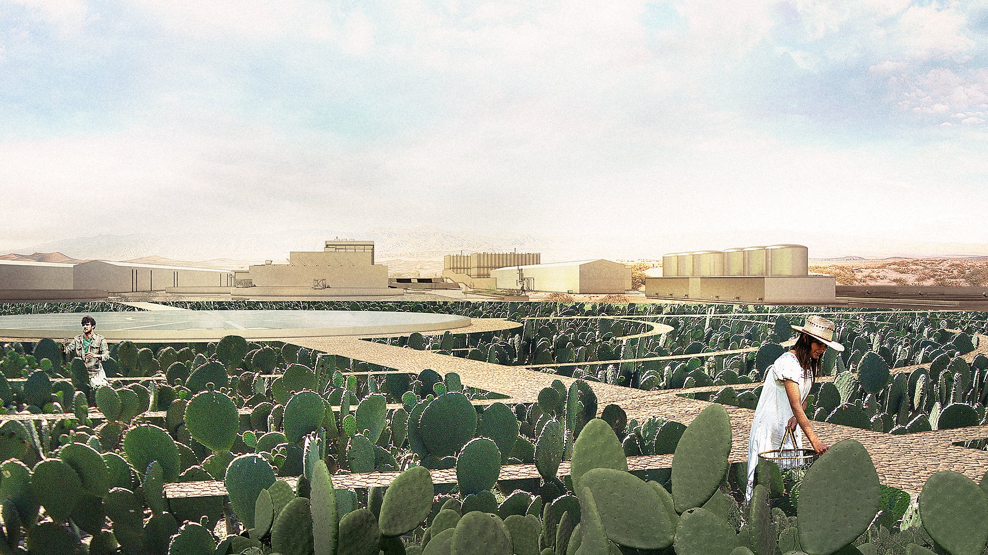 California Has No Water, So It Might Be Time To Start Farming Cactus - Fast  Company