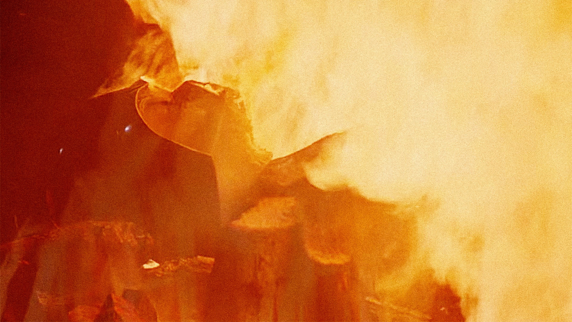 From Darth Vader To Jimmy Dean Sausage, There's A 2015 Yule Log For