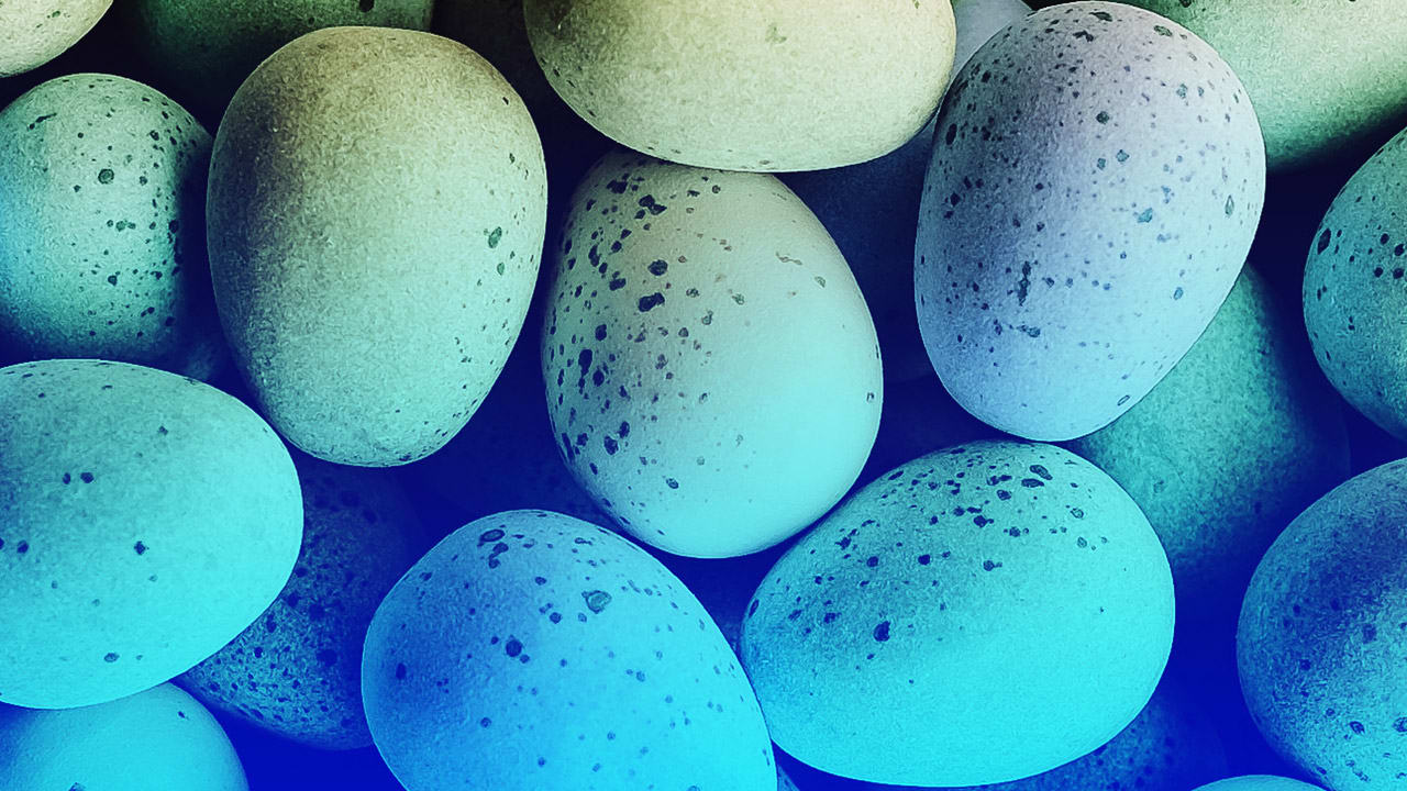 Will Twitter's New Board Members Help Solve Its Diversity Problem ...