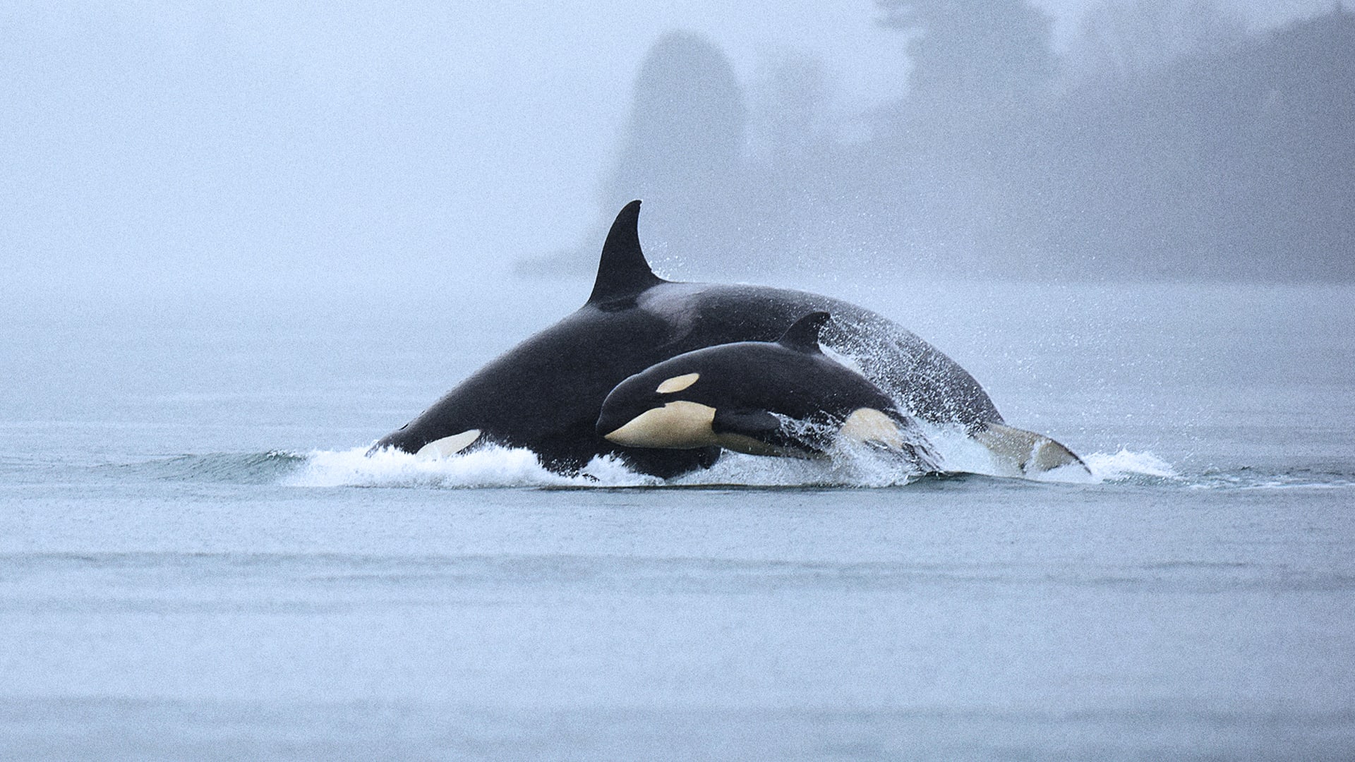 These Hardware Stores Are Adding 