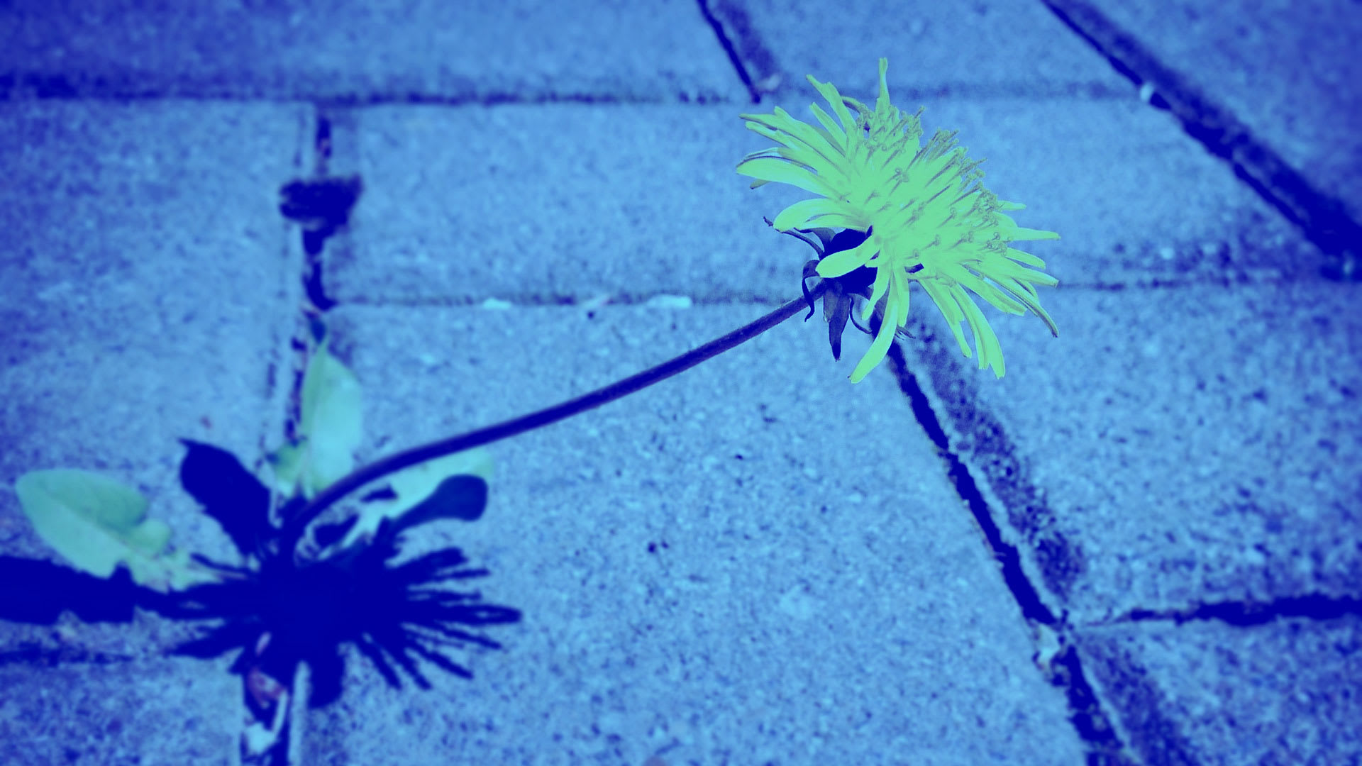 How To Create Your Own Opportunities At Work - Fast Company