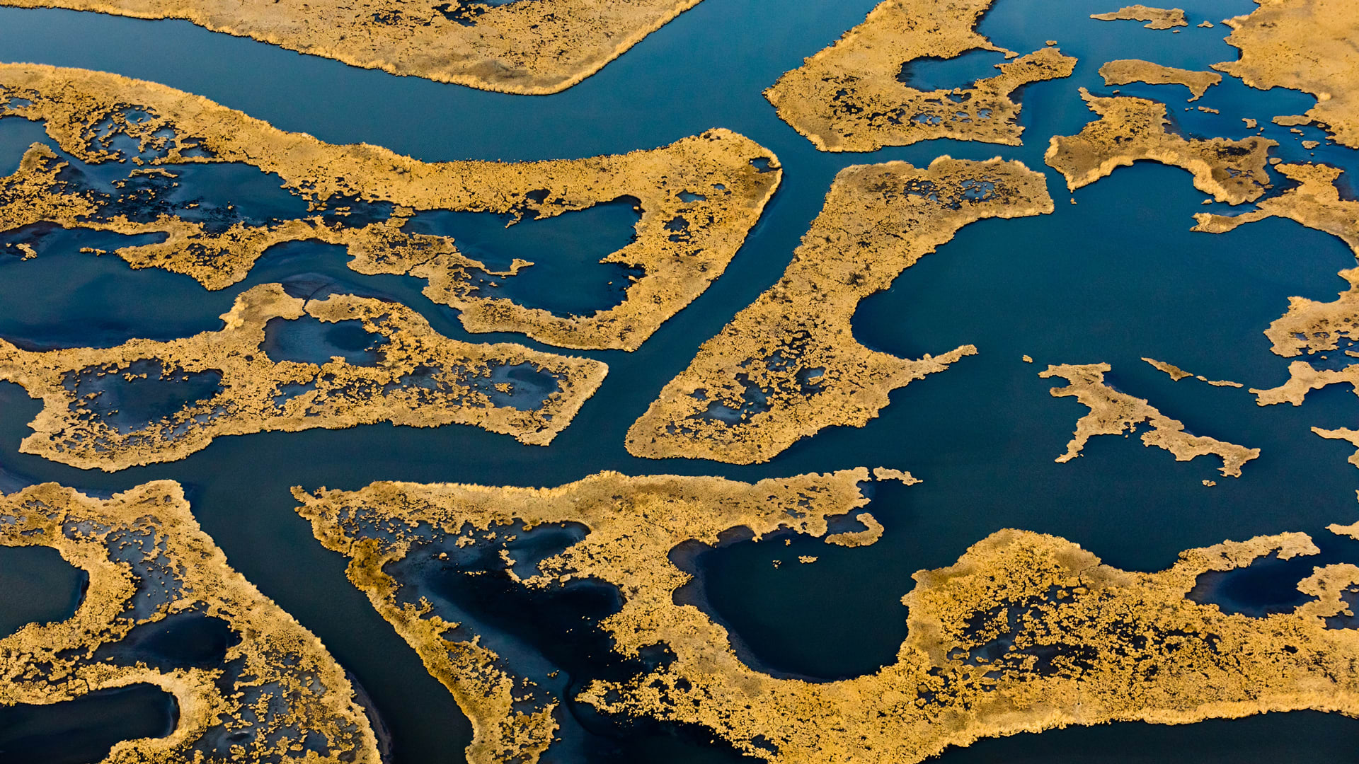 Wetlands Could Drown As The Planet Warms. Here's How Infrastructure Can ...