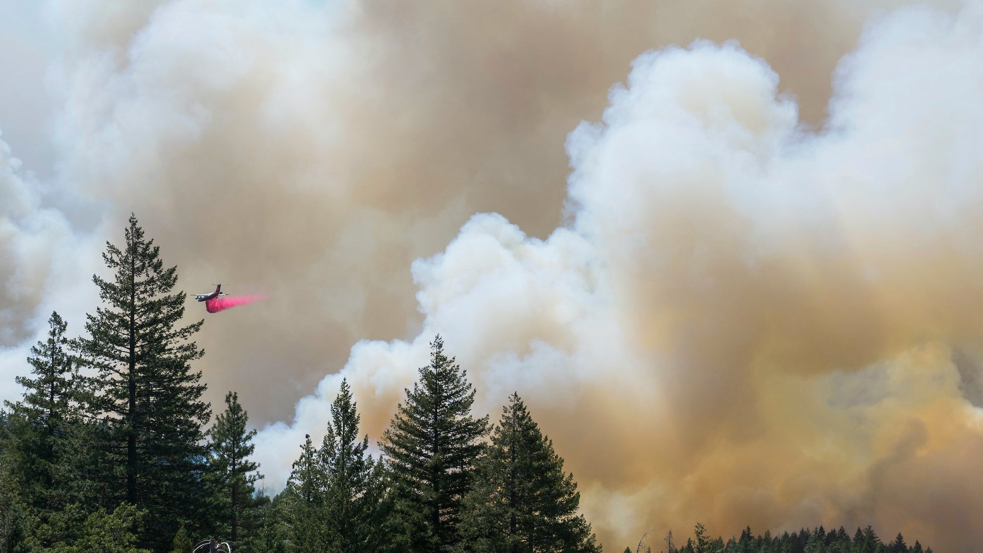 Wildfire smoke increases dementia risk, study says - Fast Company