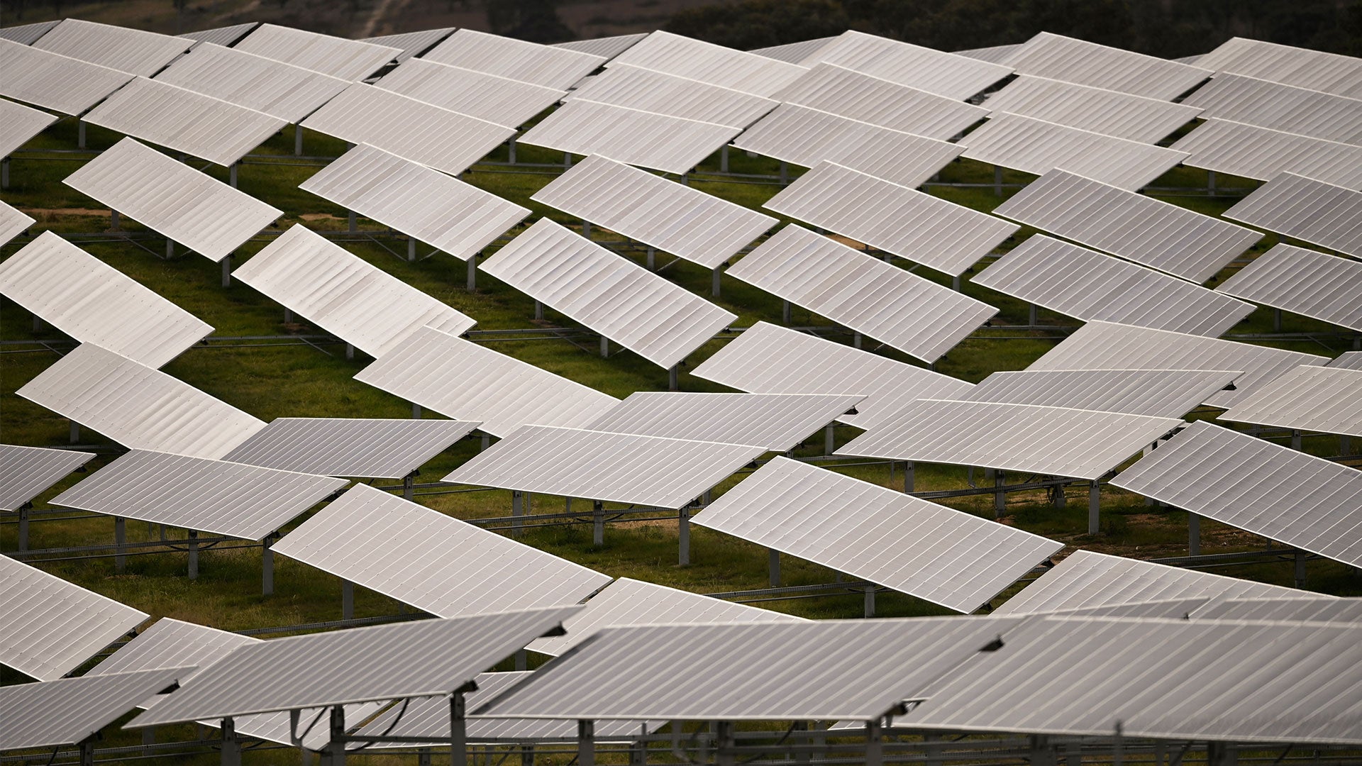 Bullions Solar This $19 billion solar farm, the worlds largest, has just been approved ...