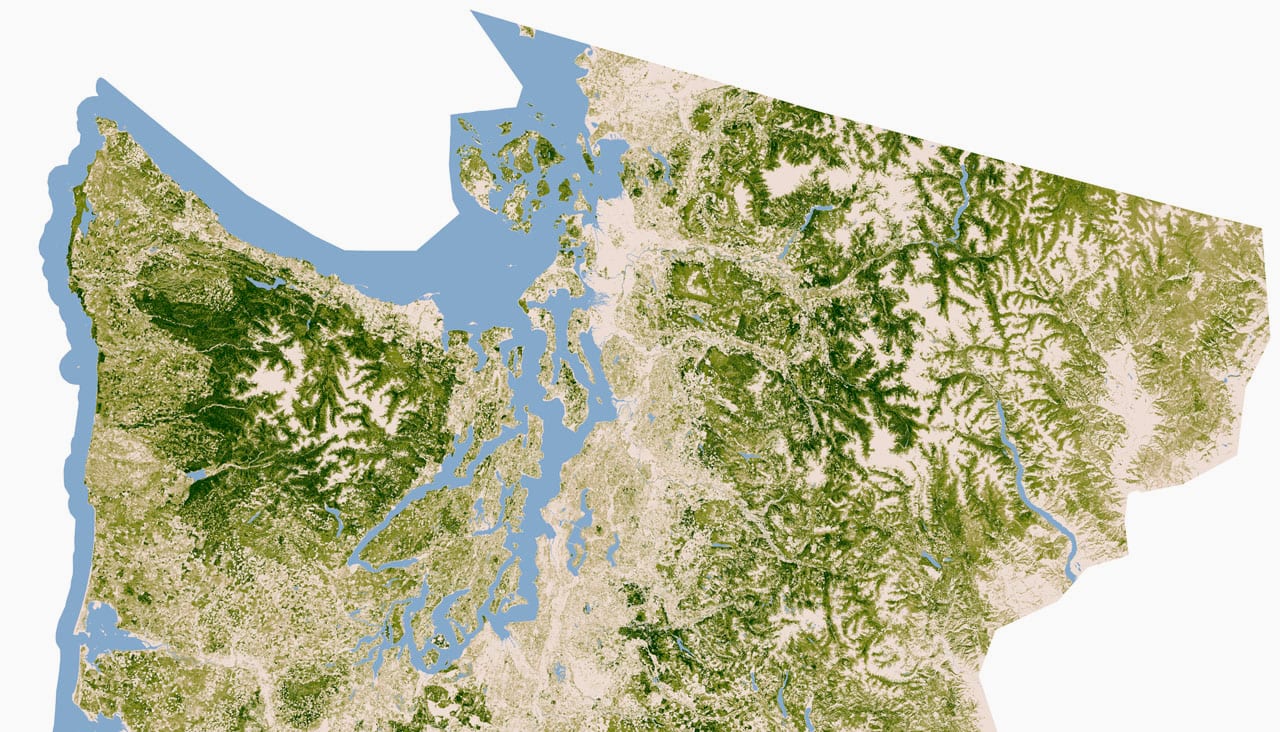 NASA Creates Insanely High-Res Map Of America's Trees, And Offers A ...