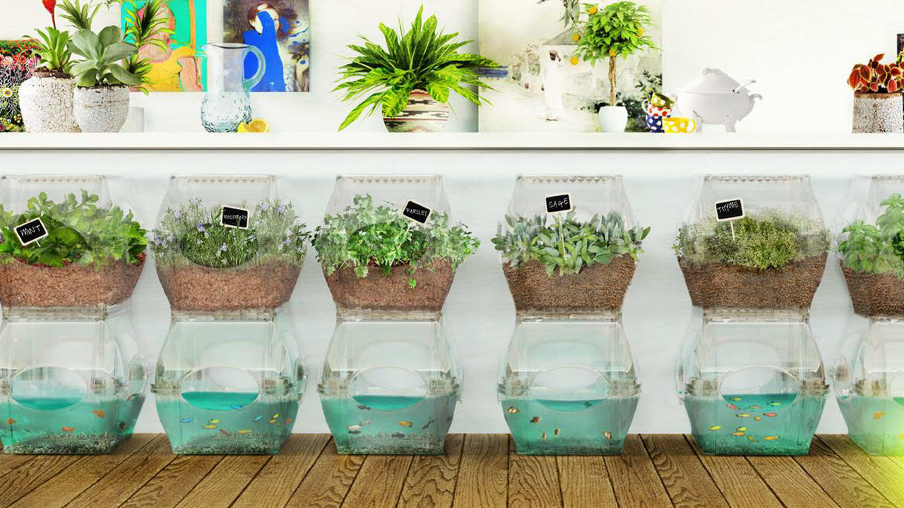 This Futuristic Indoor Garden Is Also A Groovy Fish Tank - Fast Company, image size:1280x720