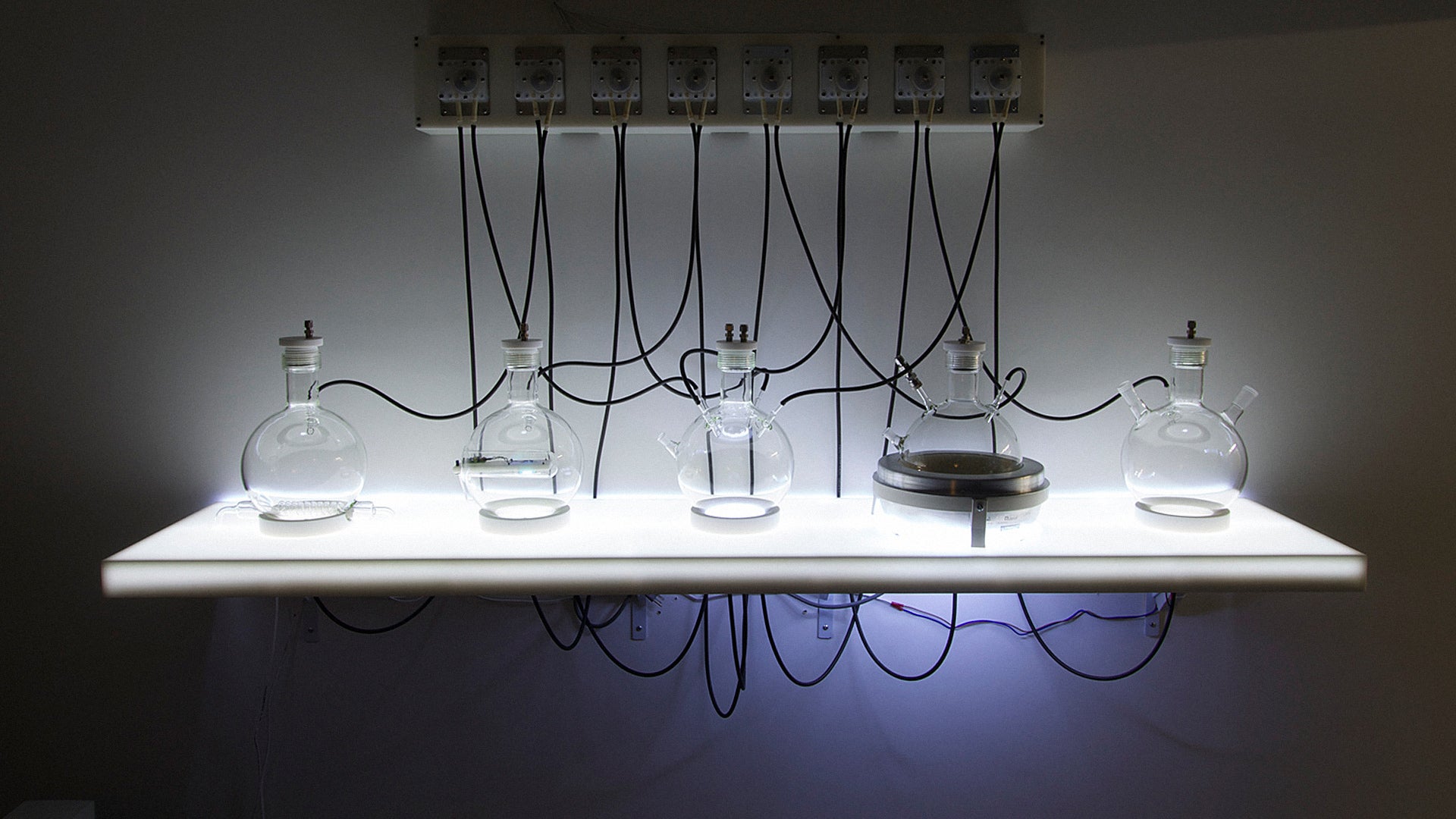 Artist Invents A Machine To Create Life From Scratch - Fast Company