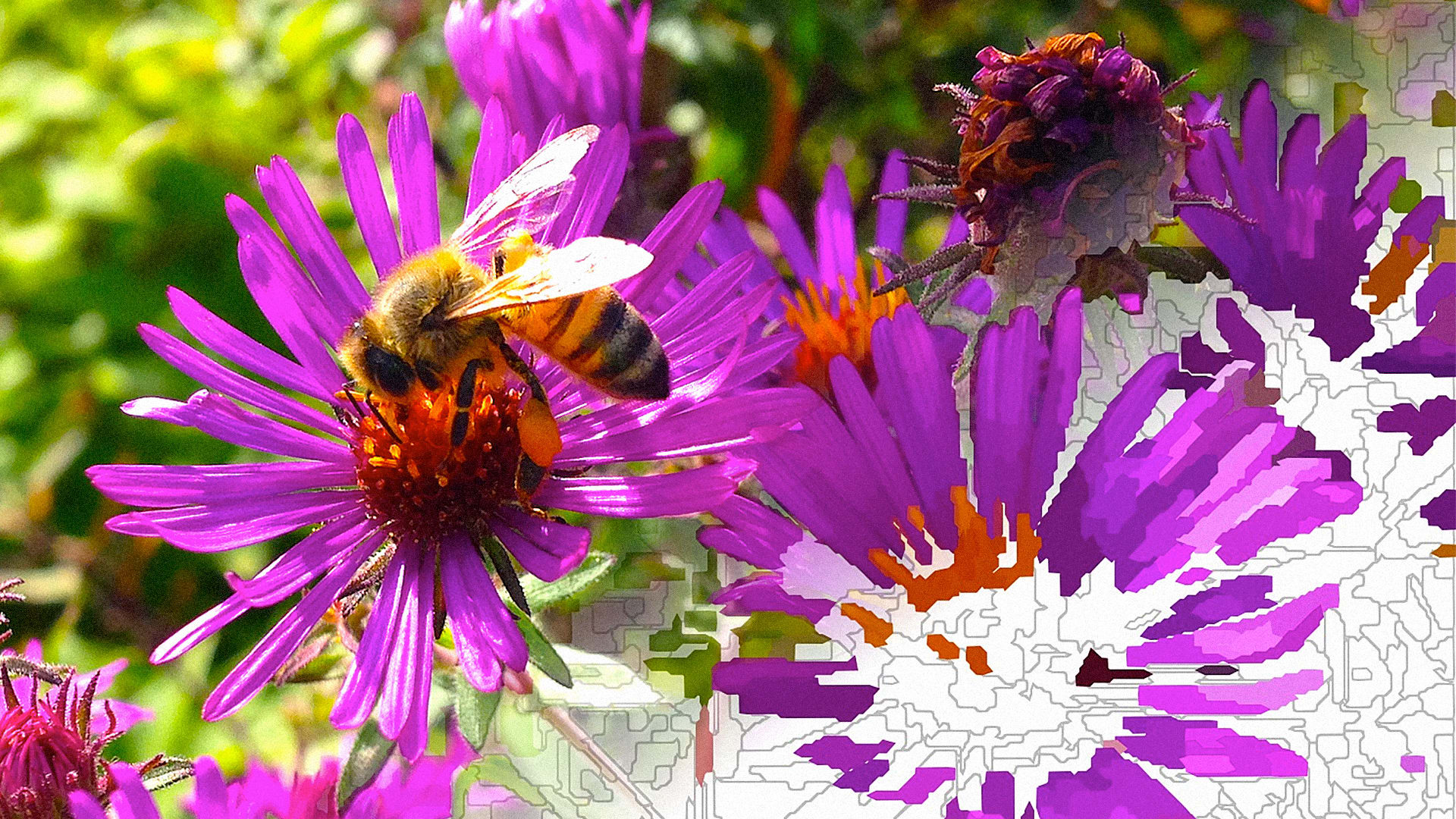 Turn Your Photos Into Coloring Books (And Unleash Your Inner Monet