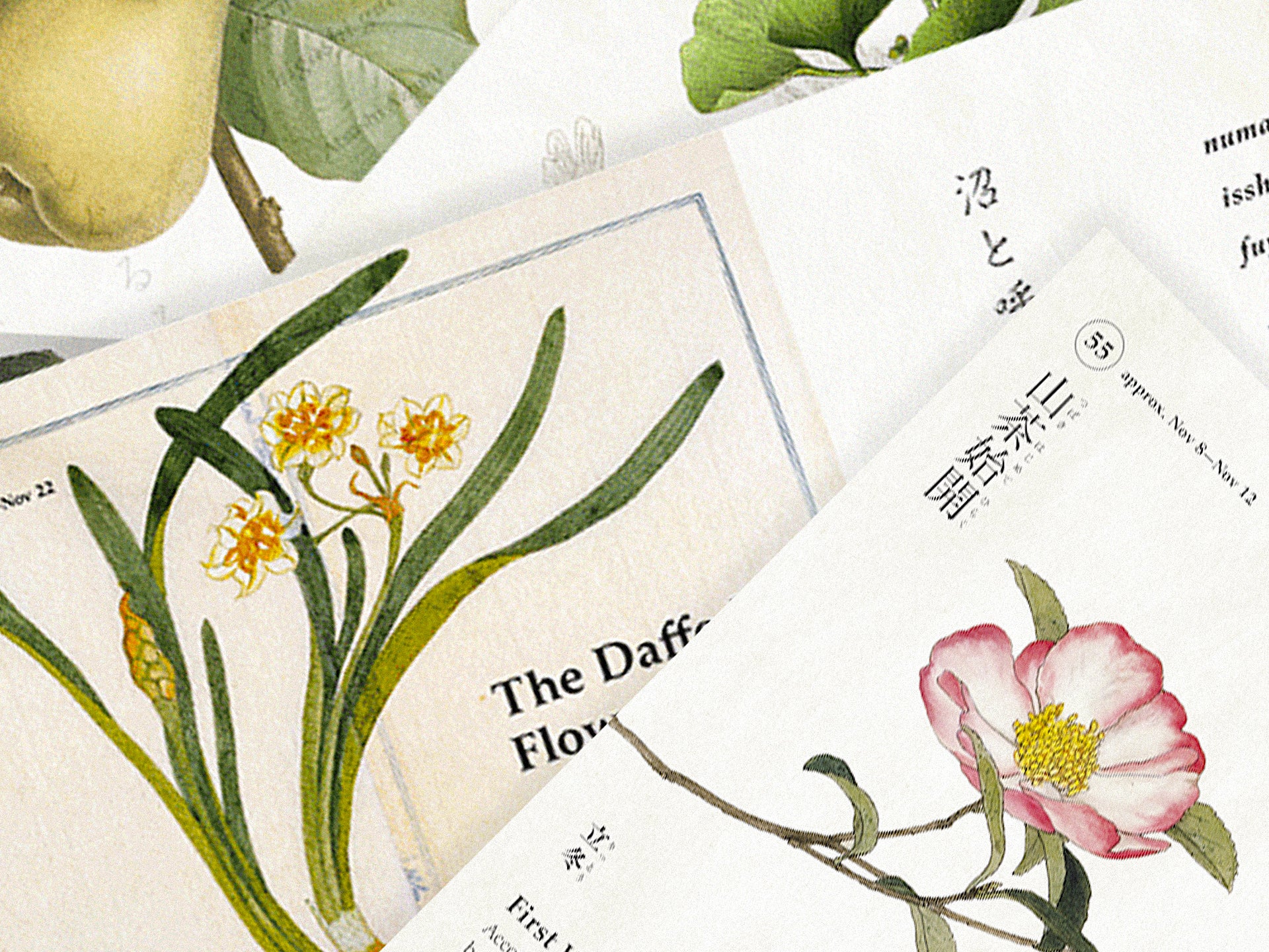 This App Guides You Through All 72 Microseasons In Japan's Traditional ...