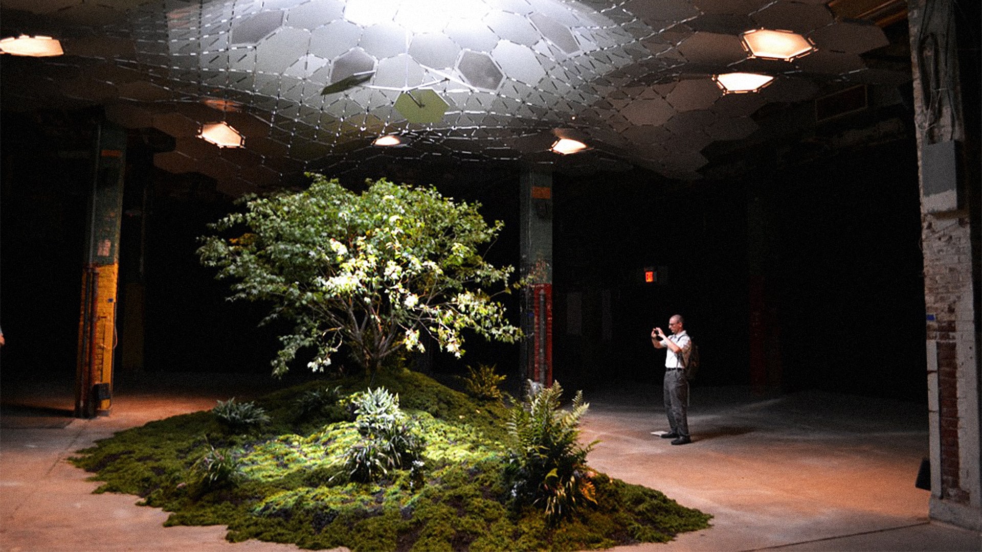 The underground park. The underground park. Подземный парк lowline, нью-йорк. Современный подземный город. Подземный парк.