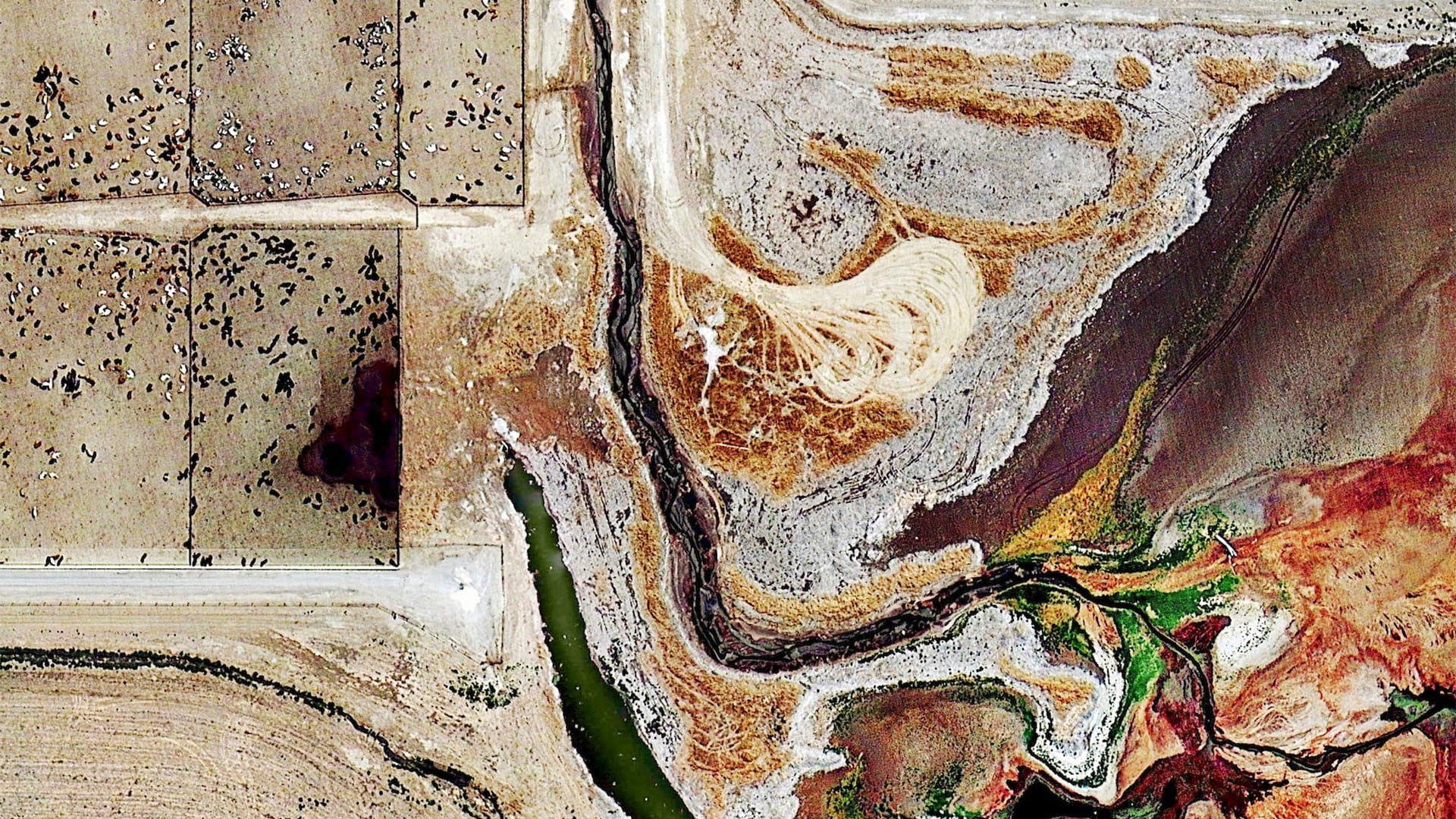 Aiキャロル コレット / Culvers Farm 1982 Aiキャロル コレット / Culvers Farm 1982 History of Farming | How