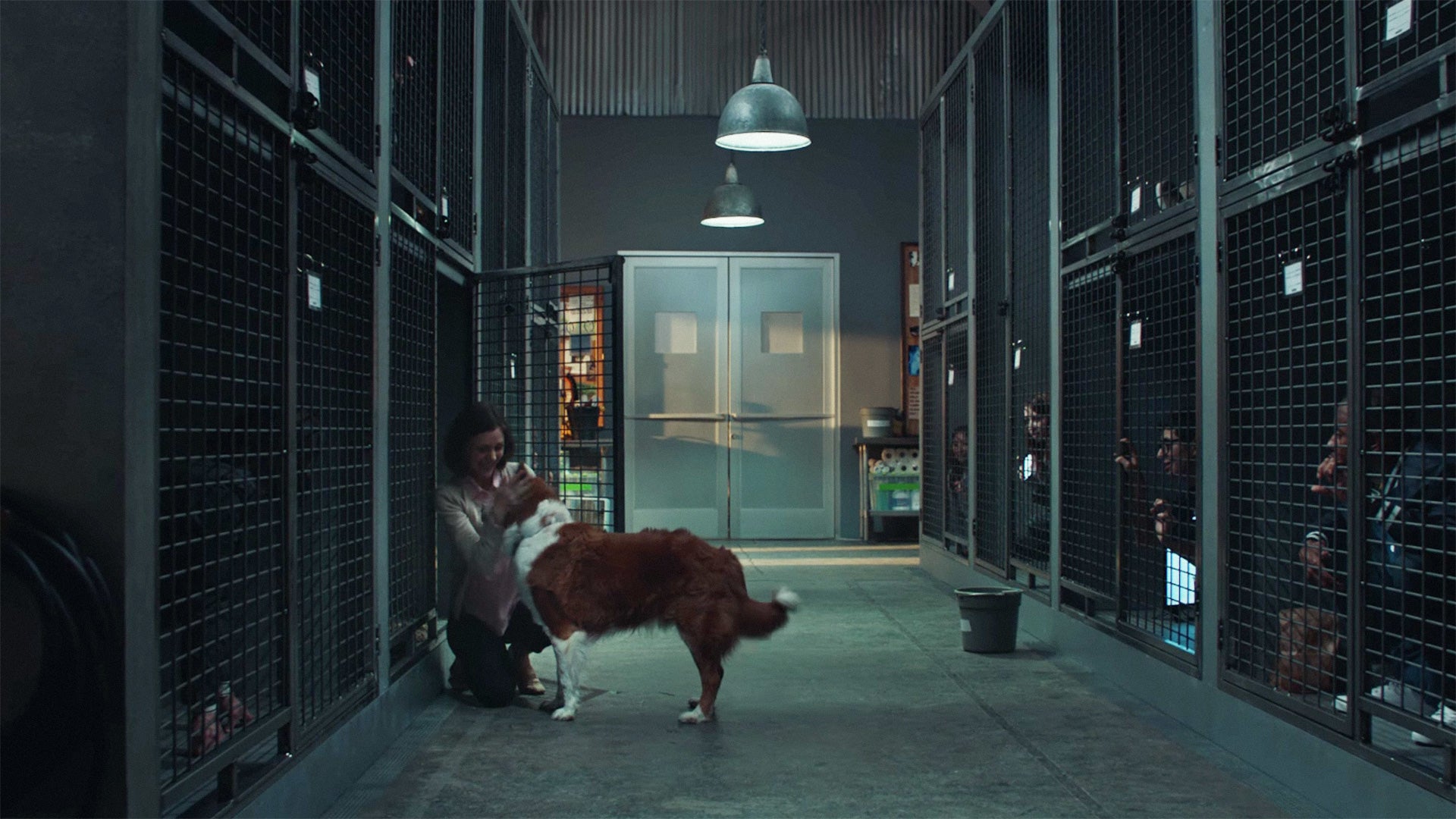 Would You Get Picked? New Pedigree Ad Turns The Tables On Dog Adoption ...