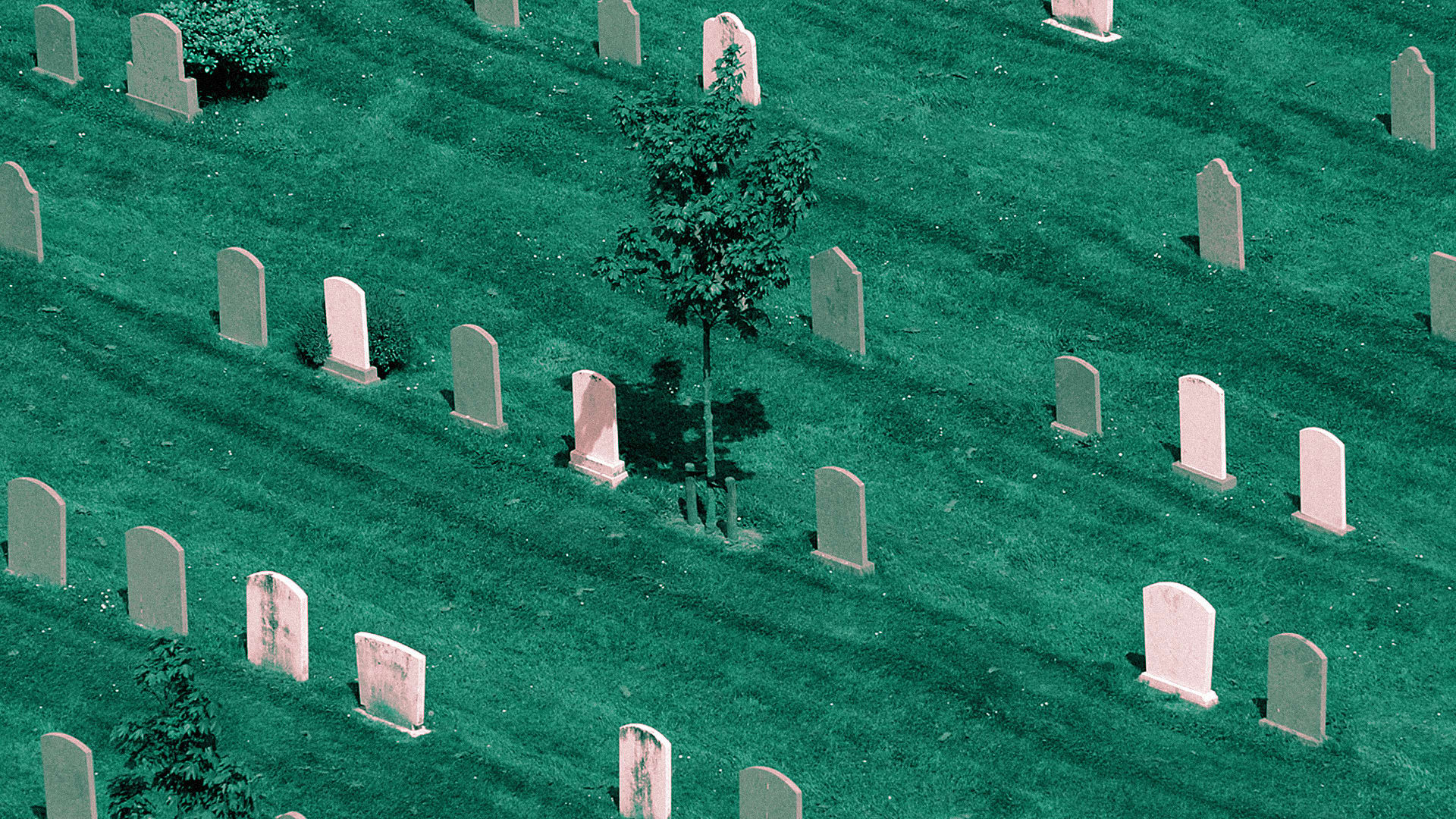 The Evolution Of Death In America, Mapped - Fast Company