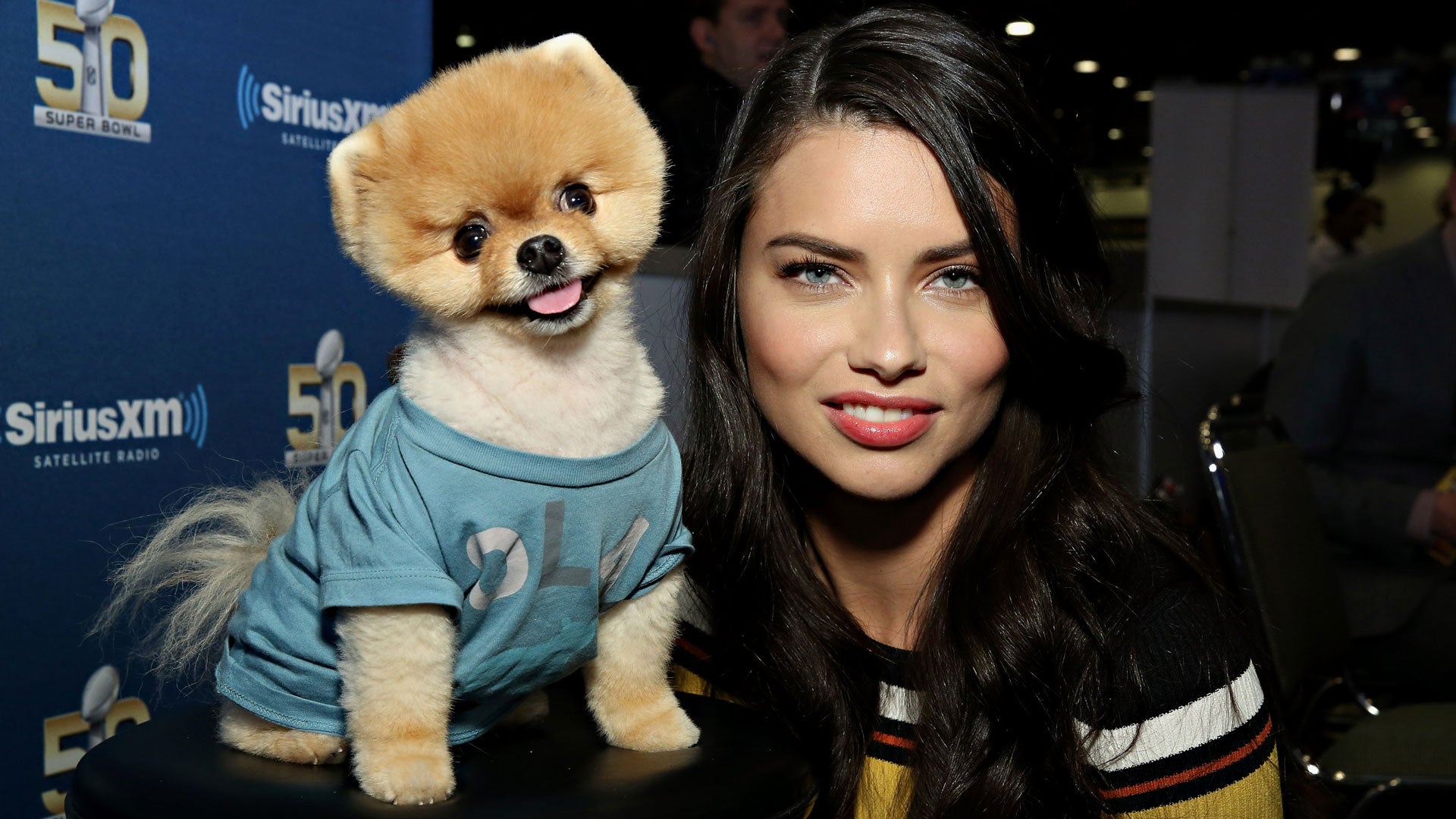 Move over, Beyoncé: These are the most followed pets on Instagram ...
