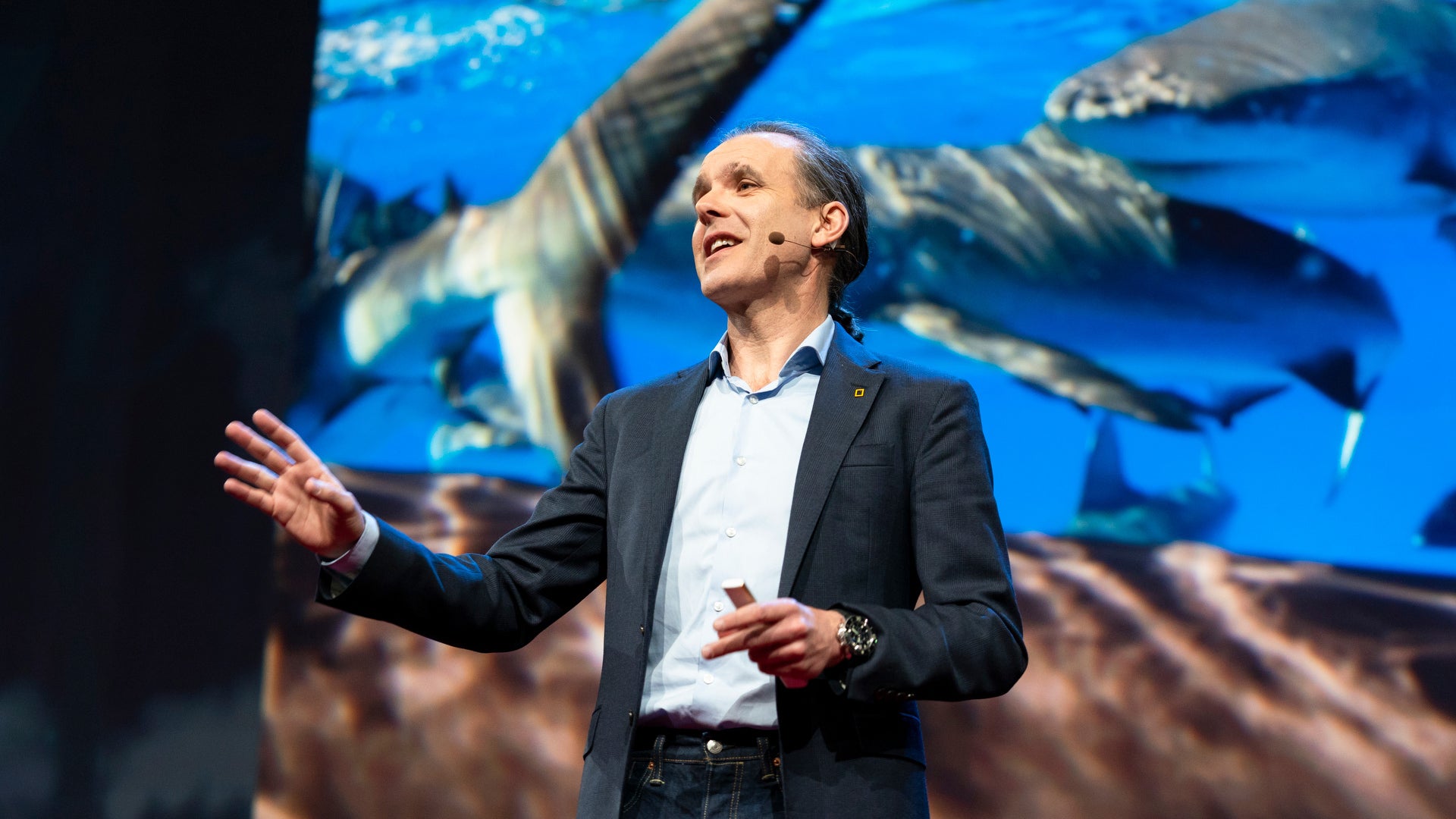 Malcolm Ransome A Bold Idea To Save The Oceans: Ban Fishing On The High Seas - Fast Company