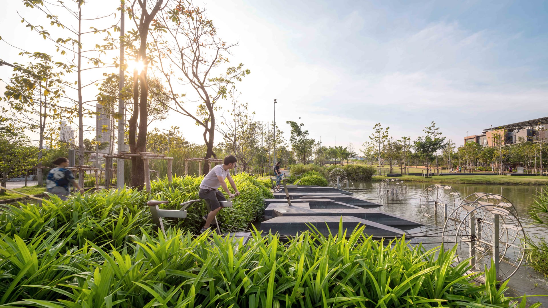 This new park is designed for a future of flooded cities - Fast Company