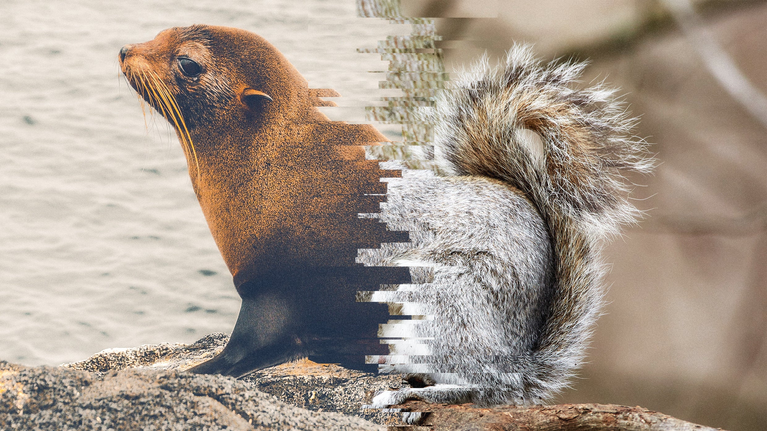 The world's most-advanced AI can't tell what's in these photos. Can you