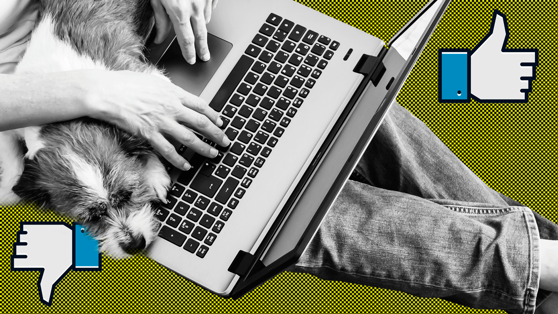 The hottest WFH memes homeschooled, cabinfever edition Fast Company