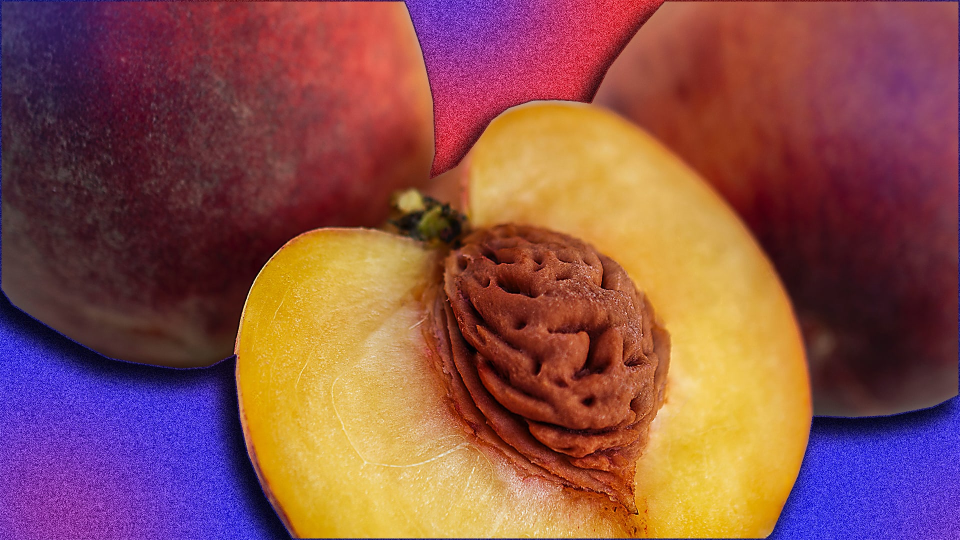 What the hell is happening in Senate race runoff rules explained as vote count