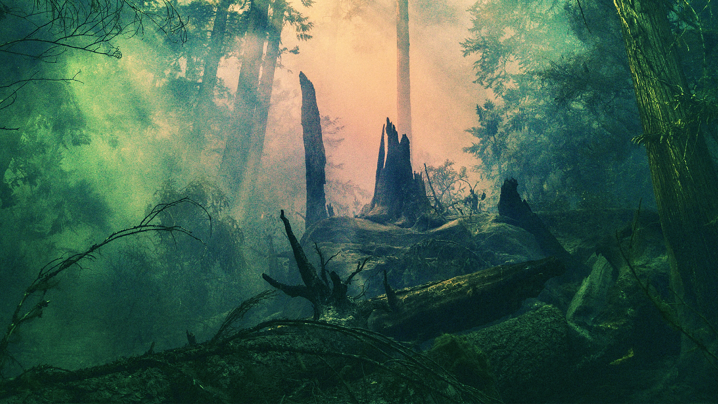 Between 2020 and 2021, the Earth's vital signs got worse Fast Company