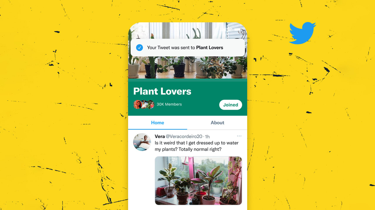 Twitter launches topic-specific 'Communities' for discussions of dogs ...