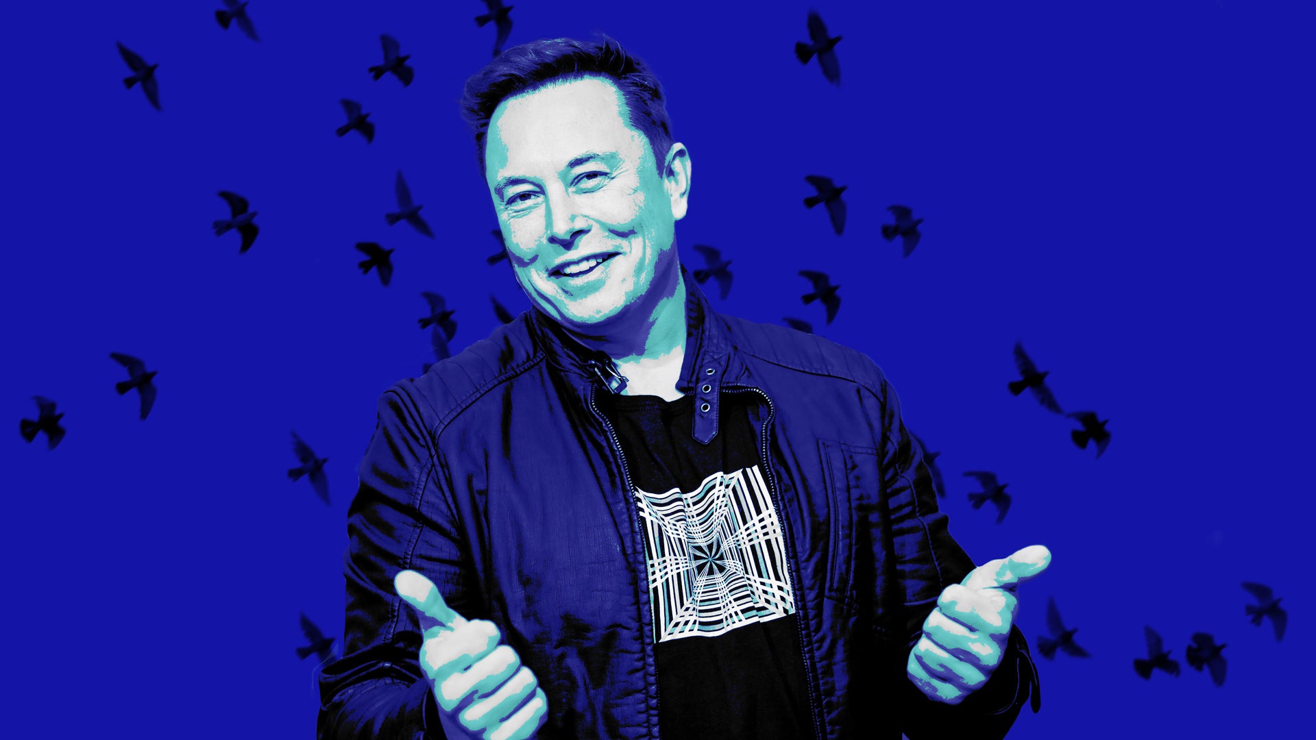 Twitter loves Musk but dreads a Musk takeover, research finds - Fast ...