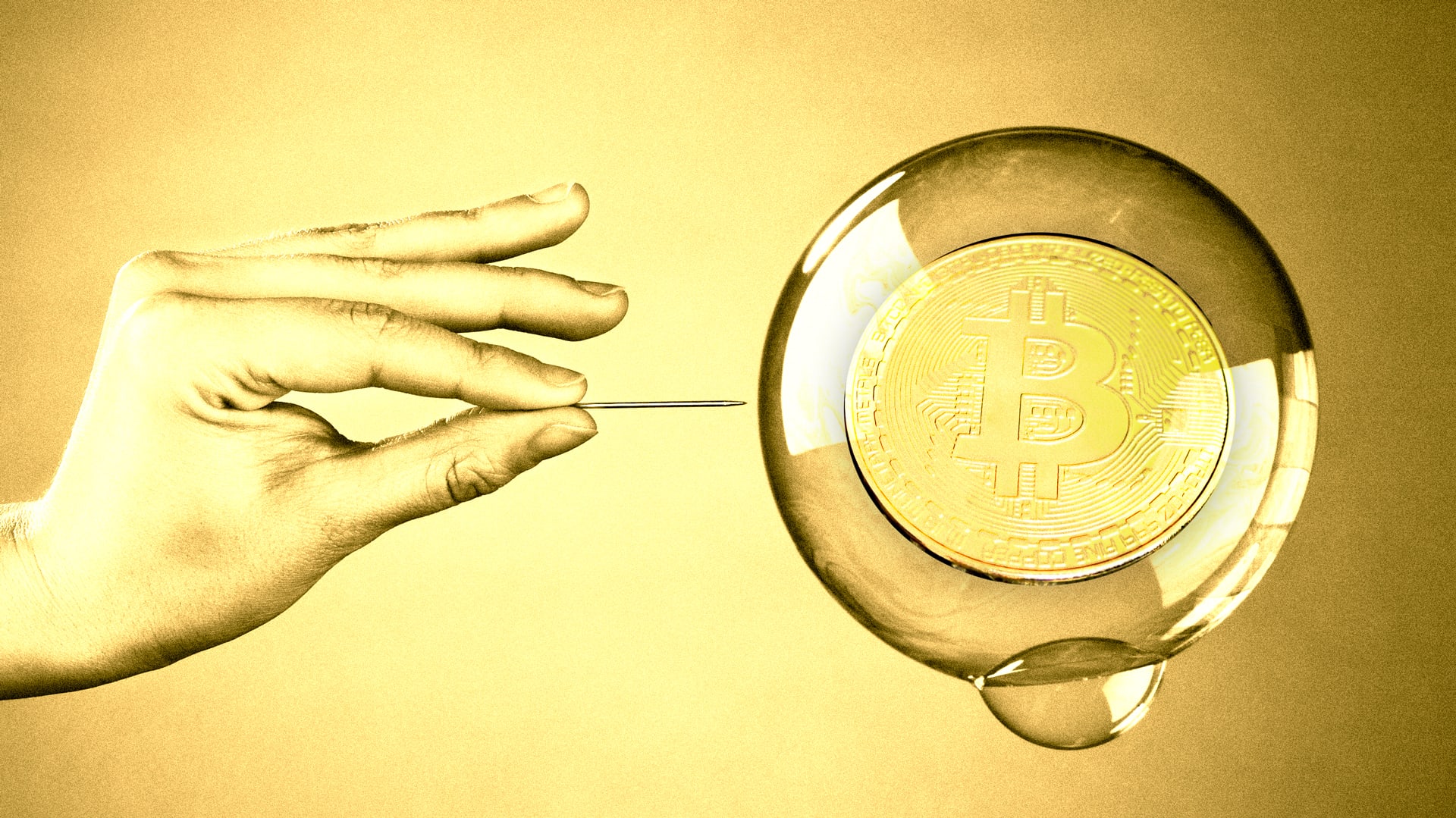 Will crypto winter go the way of the dotcom bust? The CEO of SDF explains -  Fast Company