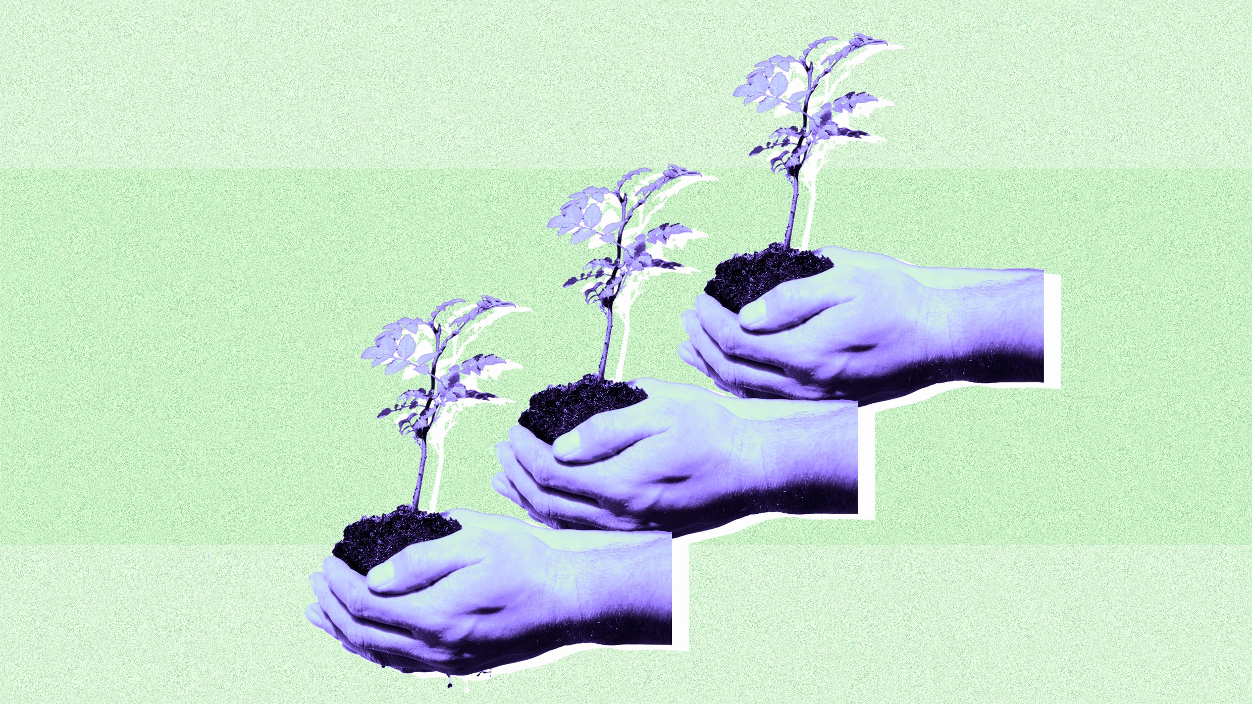 how-to-create-a-successful-mentorship-program