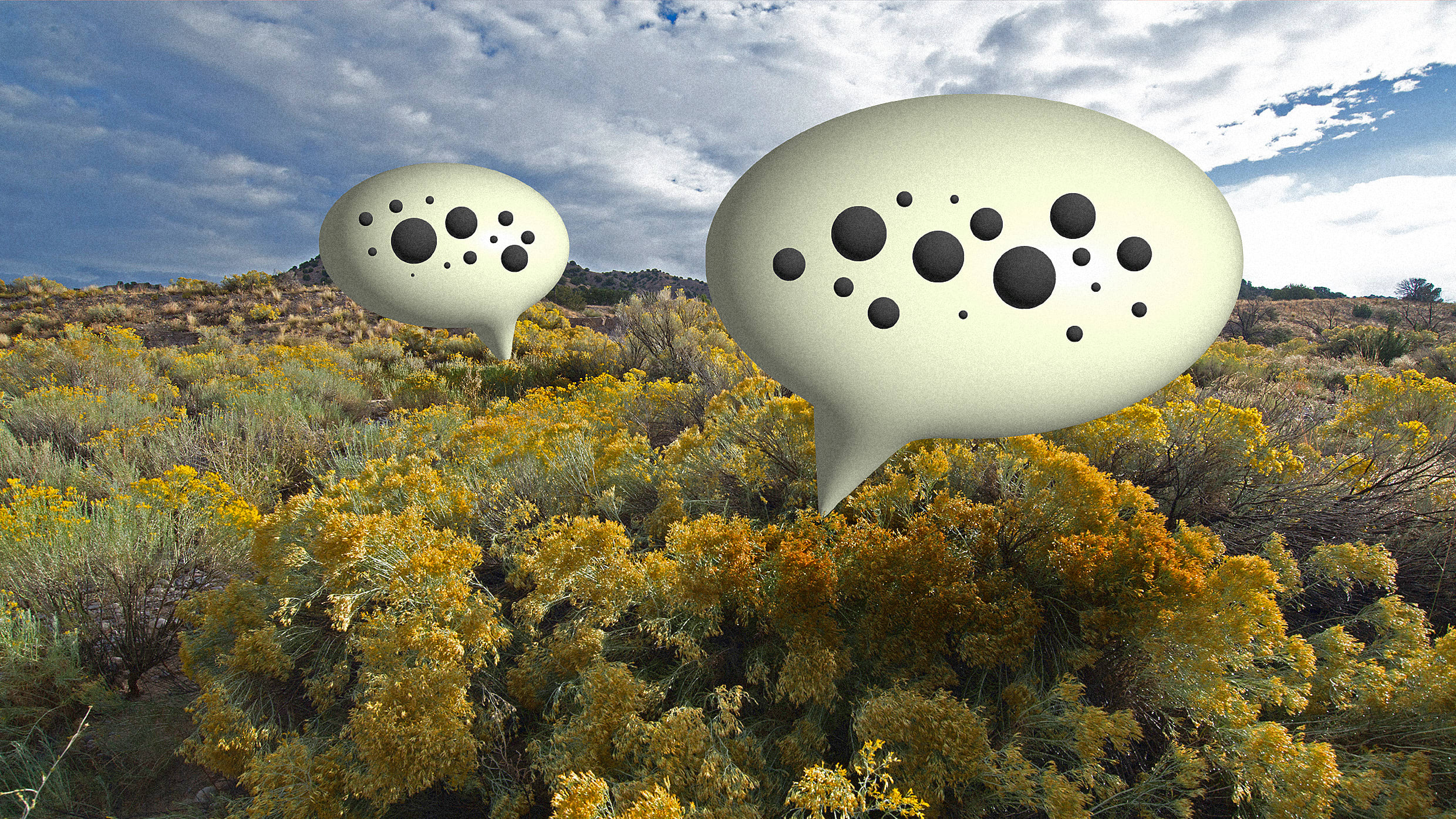 New wave of startups uses AI to decode the secret language of plants