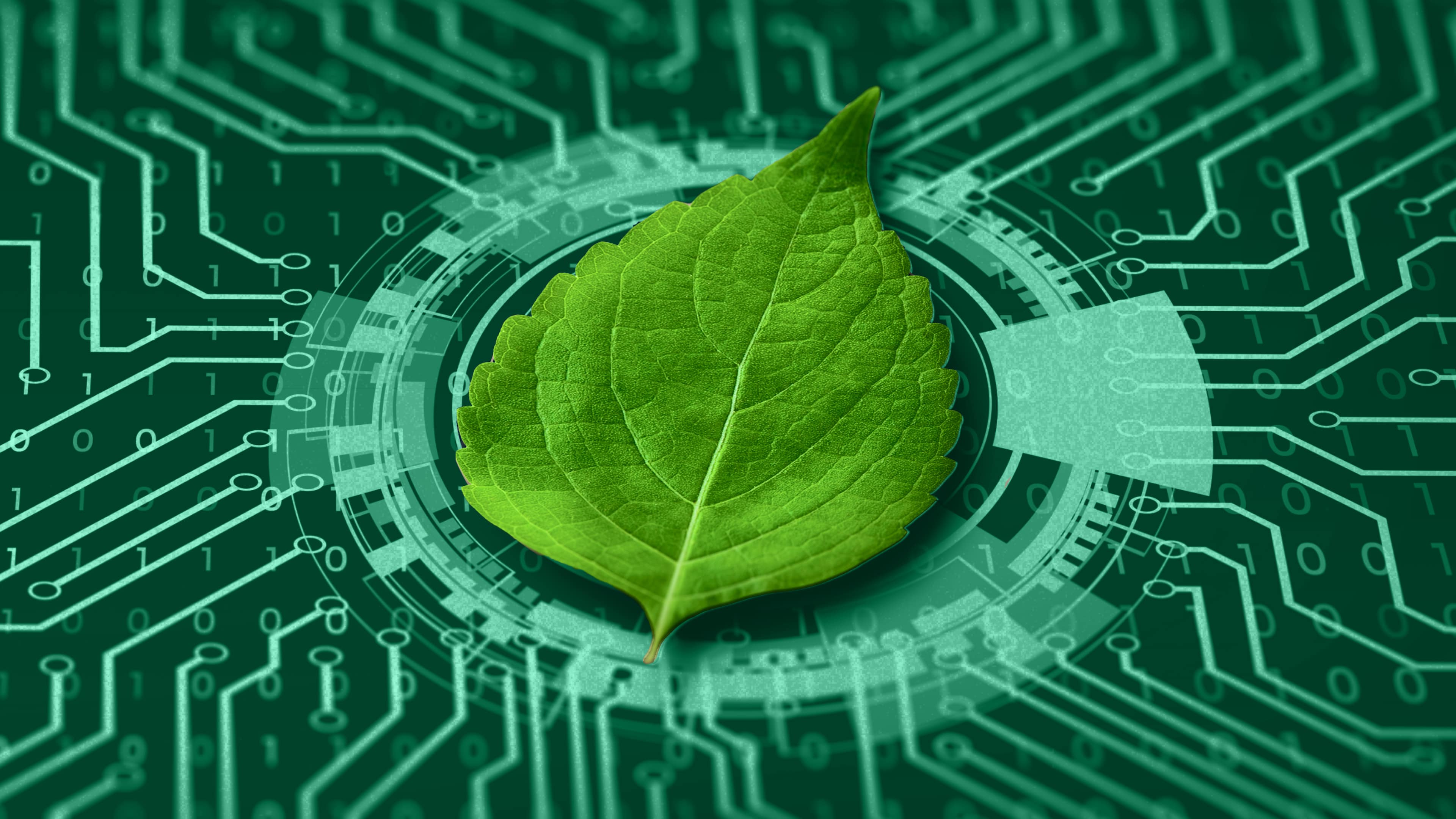 Can IT ignore going green any longer?